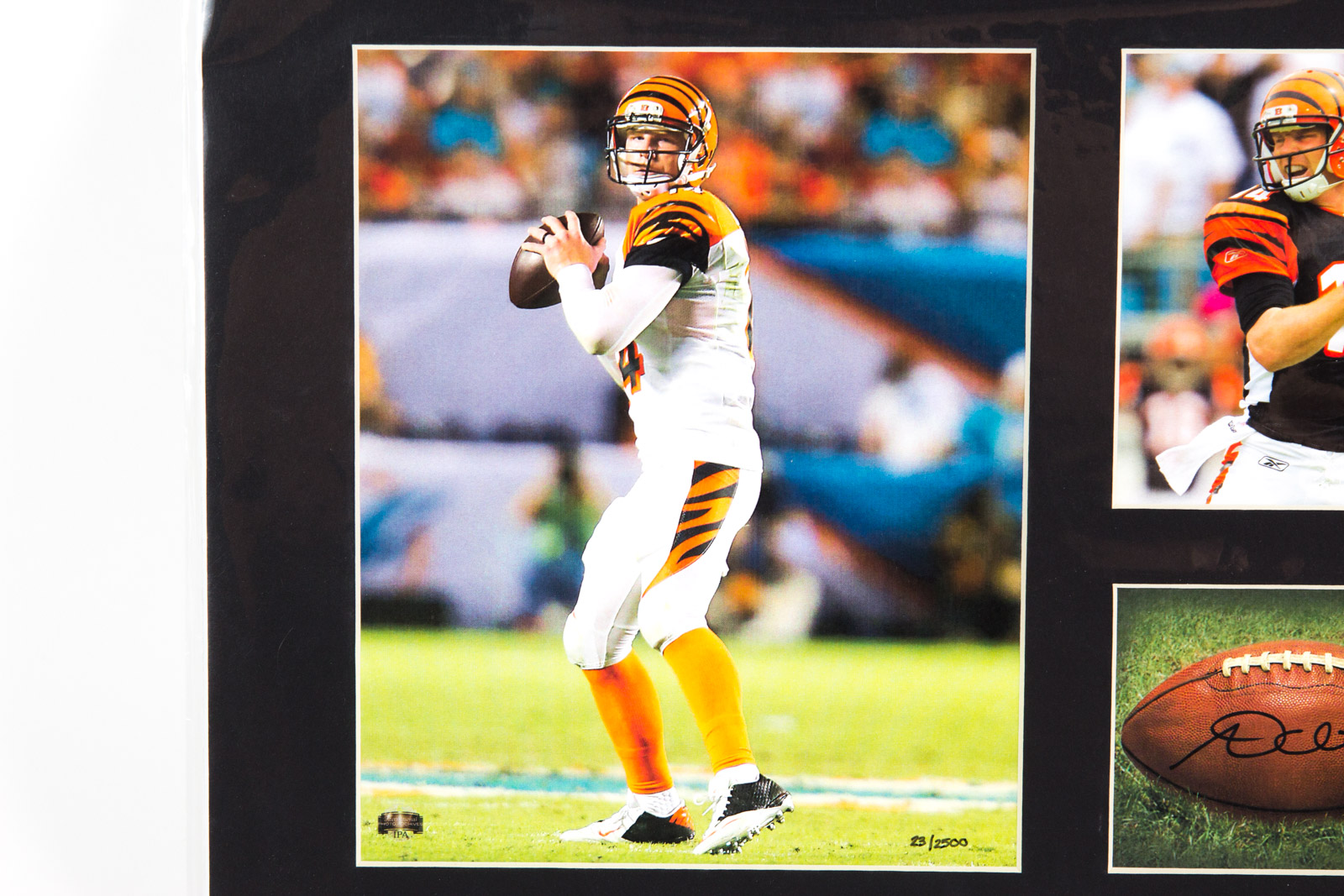 Andy Dalton Cincinnati Bengals Lithograph with Facsimile Signature