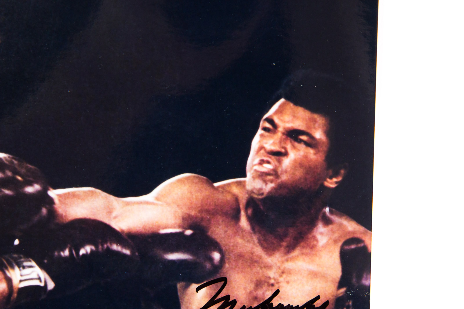 Muhammad Ali Signed Boxing Photograph