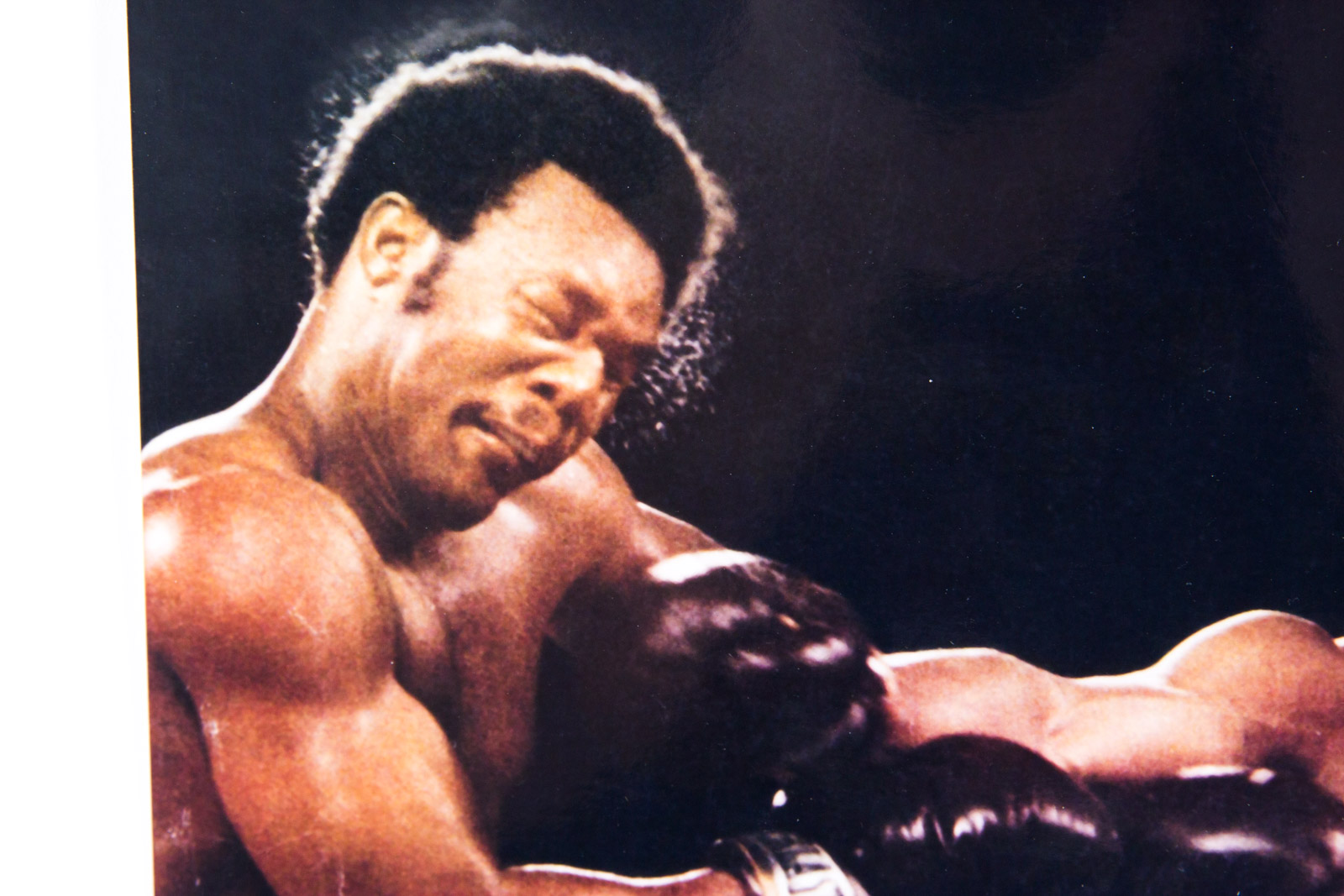 Muhammad Ali Signed Boxing Photograph