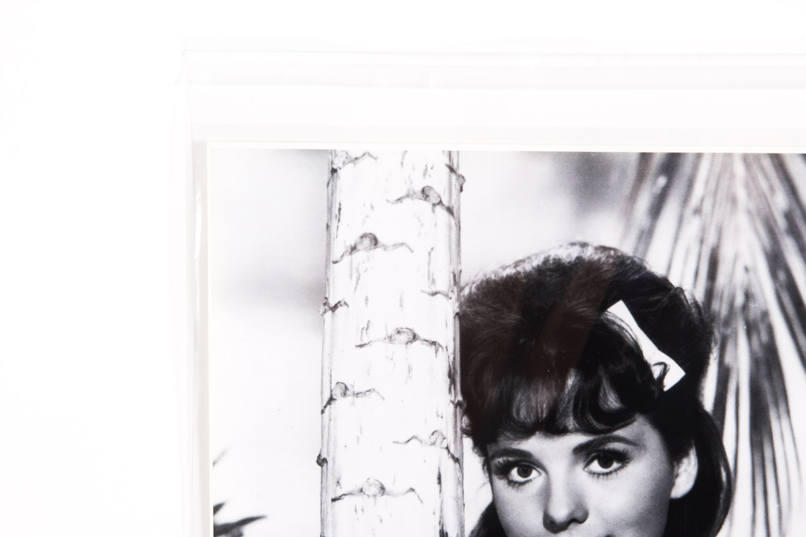 Dawn Wells Signed "Gilligan's Island" Mary Ann Photograph
