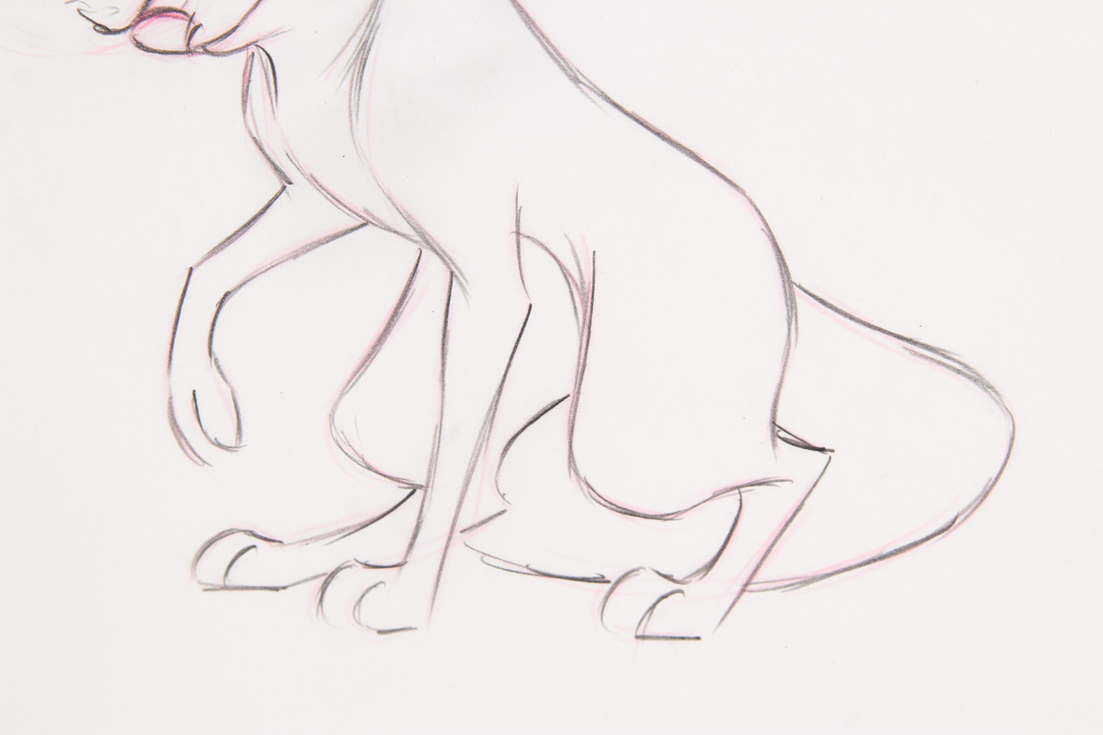 Original Disney Studios 1981 "The Fox and the Hound" Production Sketch