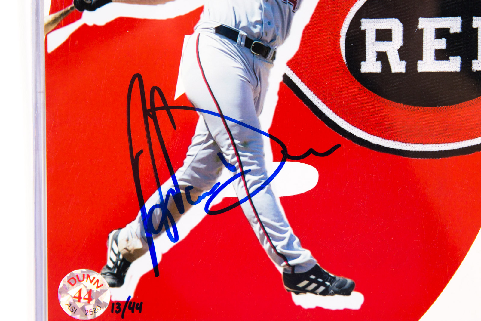 Adam Dunn and Austin Kearns Signed Photograph