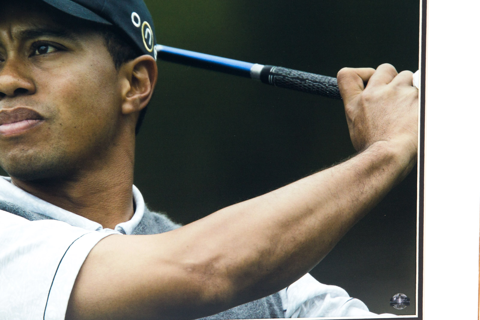 Tiger Woods Photolithograph