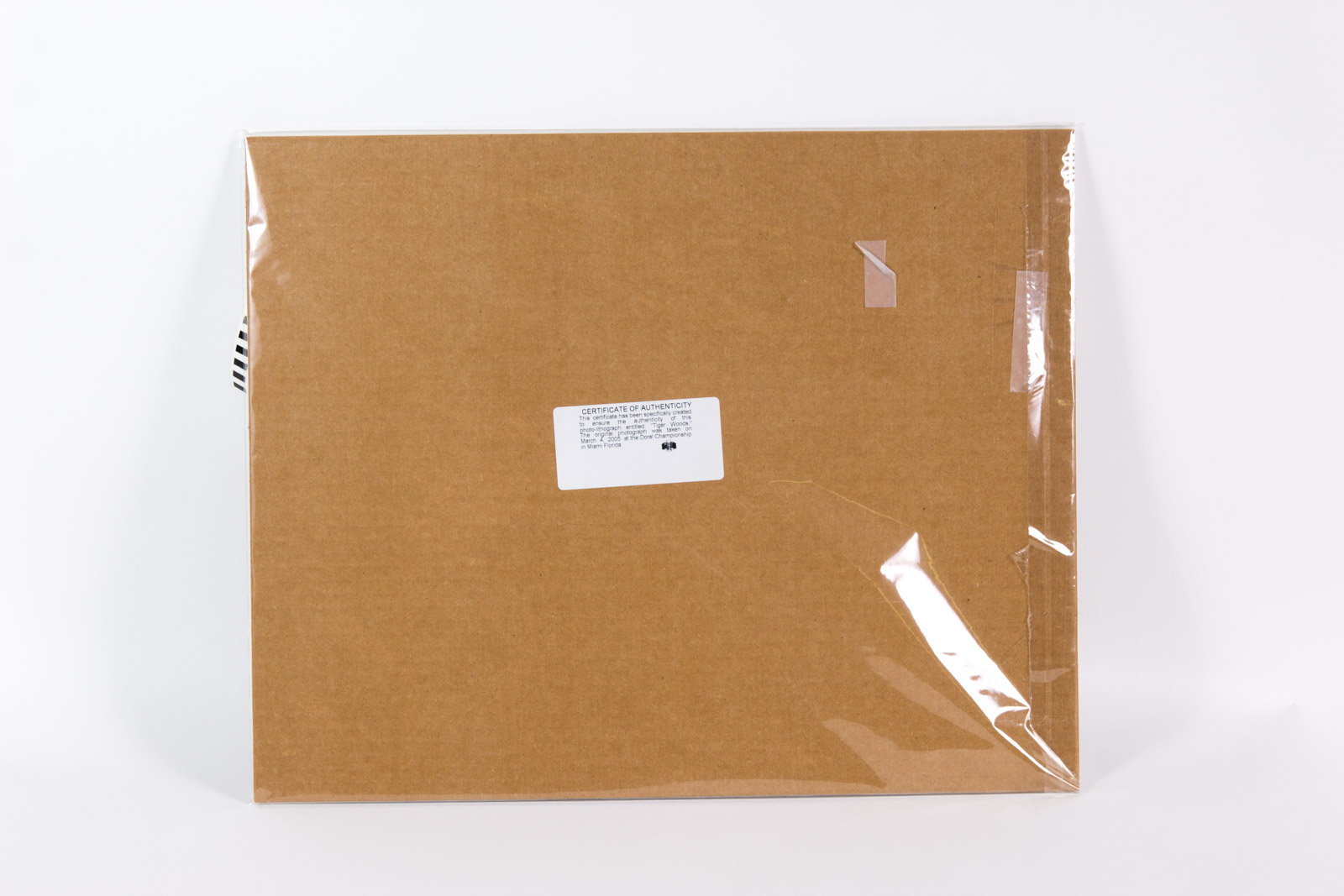 Tiger Woods Photolithograph