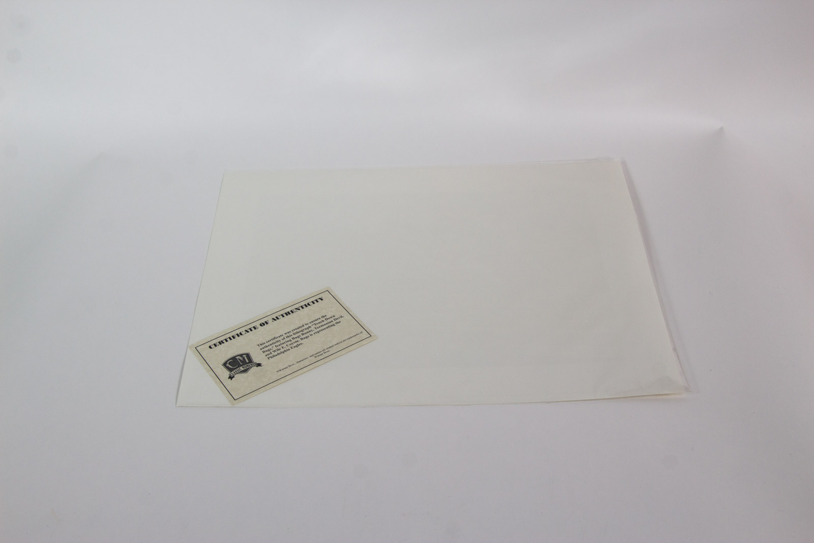 Looney Tunes "Touch Down Bugs" Philadelphia Eagles Lithograph