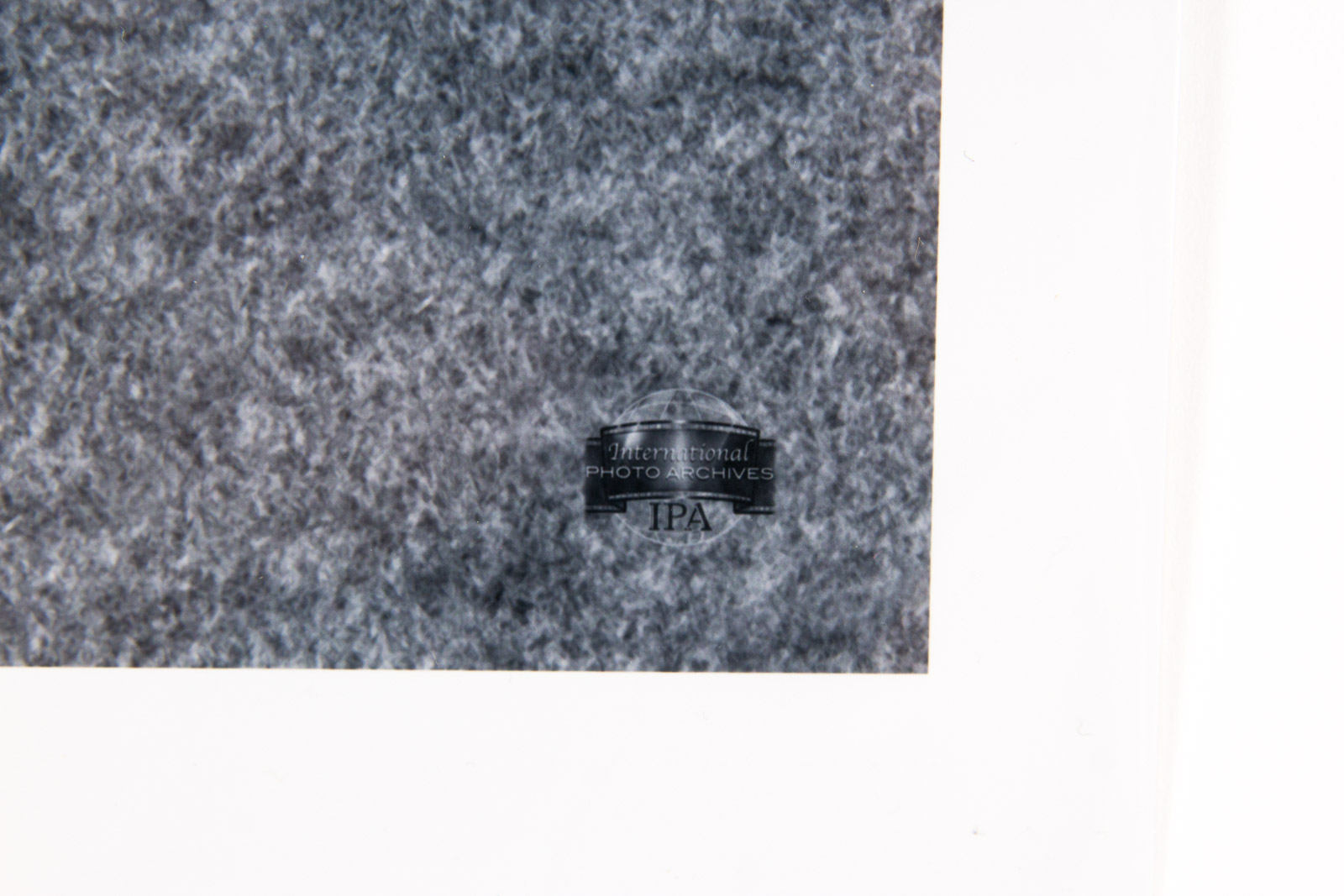 "The Big Red Machine" Fuji Crystal Photograph Signed by Pete Rose, Johnny Bench, Ken Griffey, and more