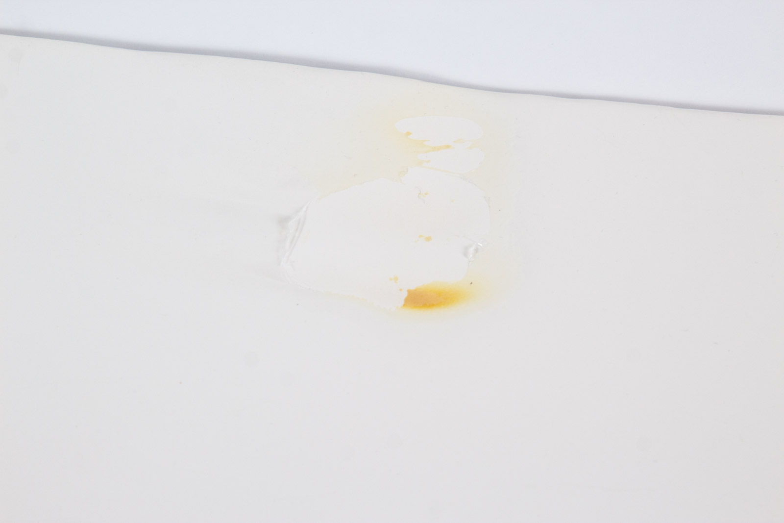 "Digimon Adventures" Offset Lithograph