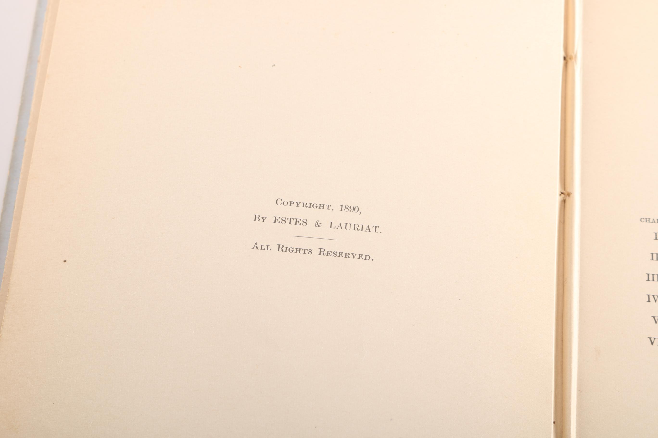 Antique Late 19th Century Fiction Books