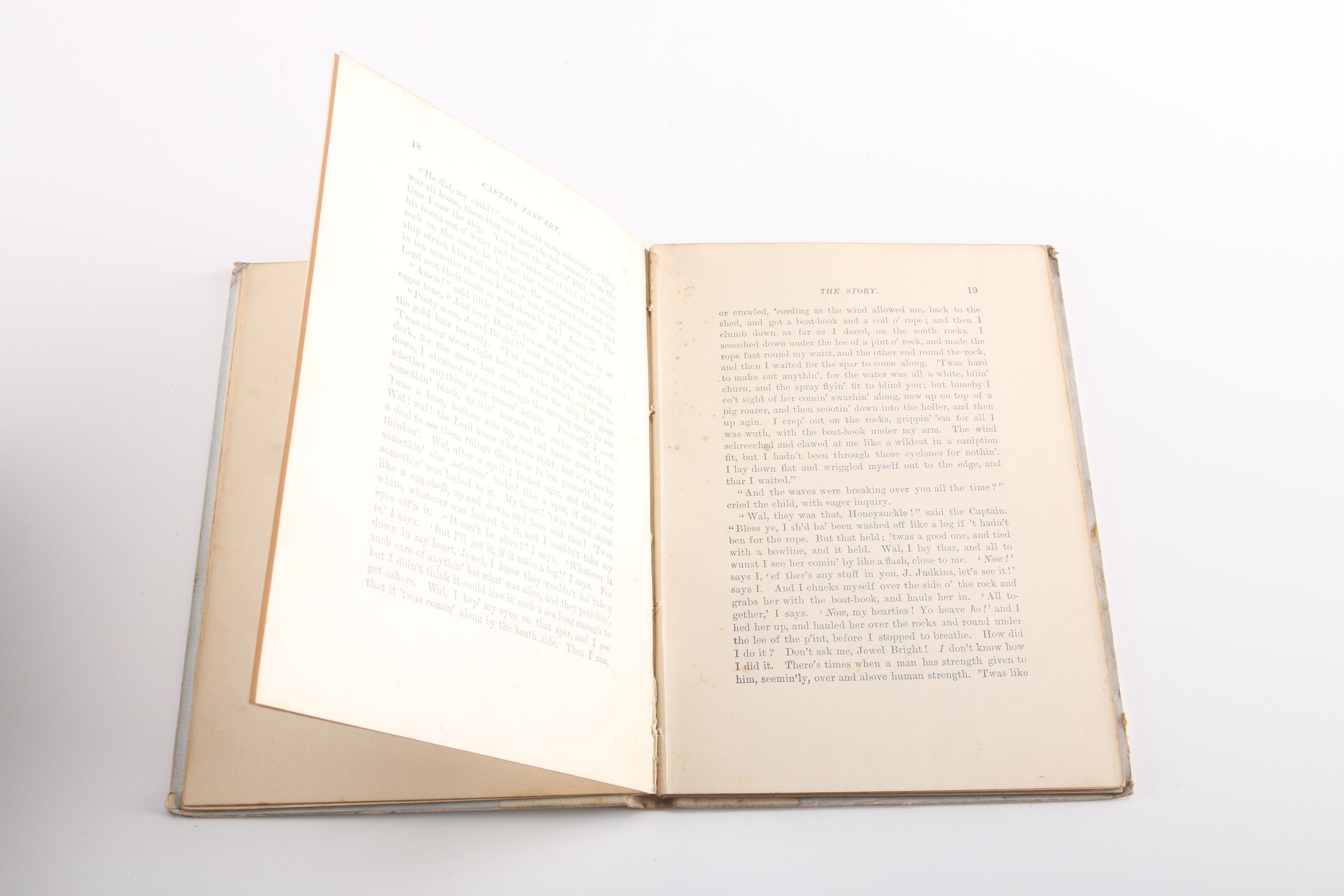 Antique Late 19th Century Fiction Books