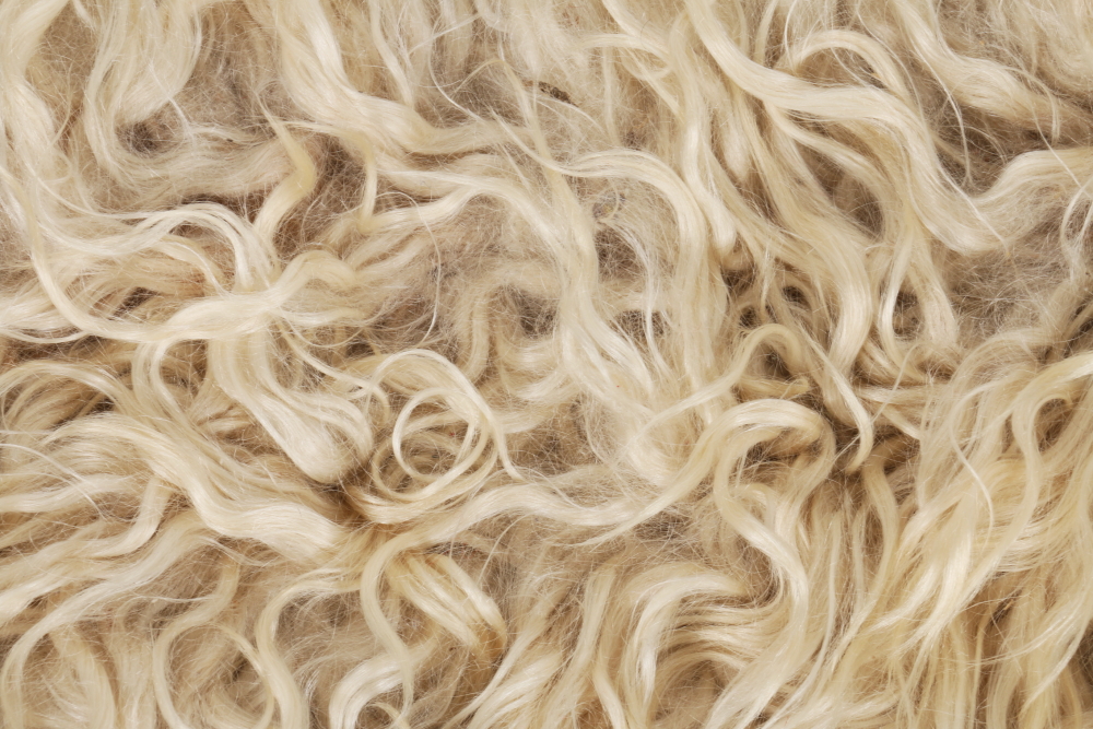 Sheepskin Rug