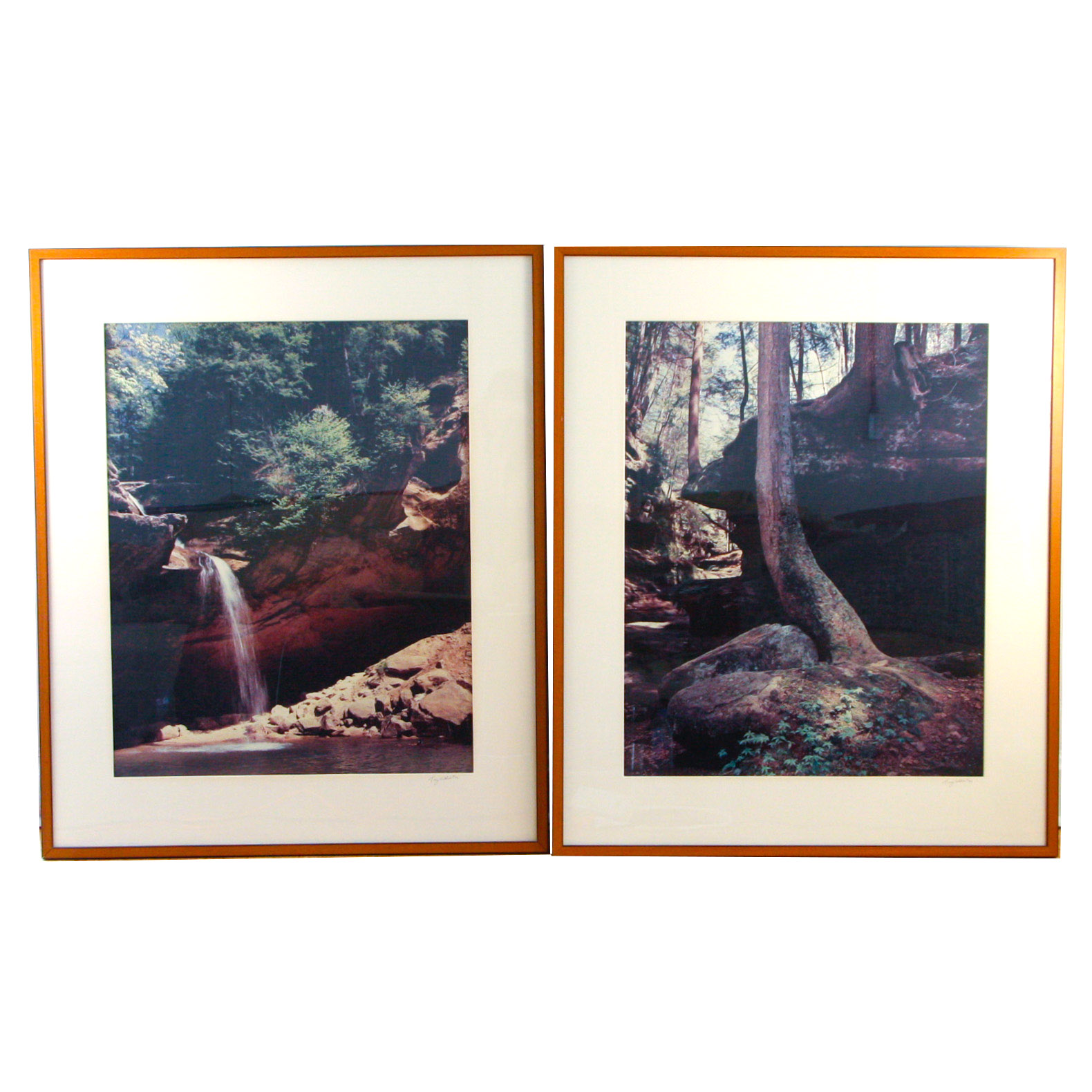 Pair of Large Tony Walsh Photographic Nature Prints