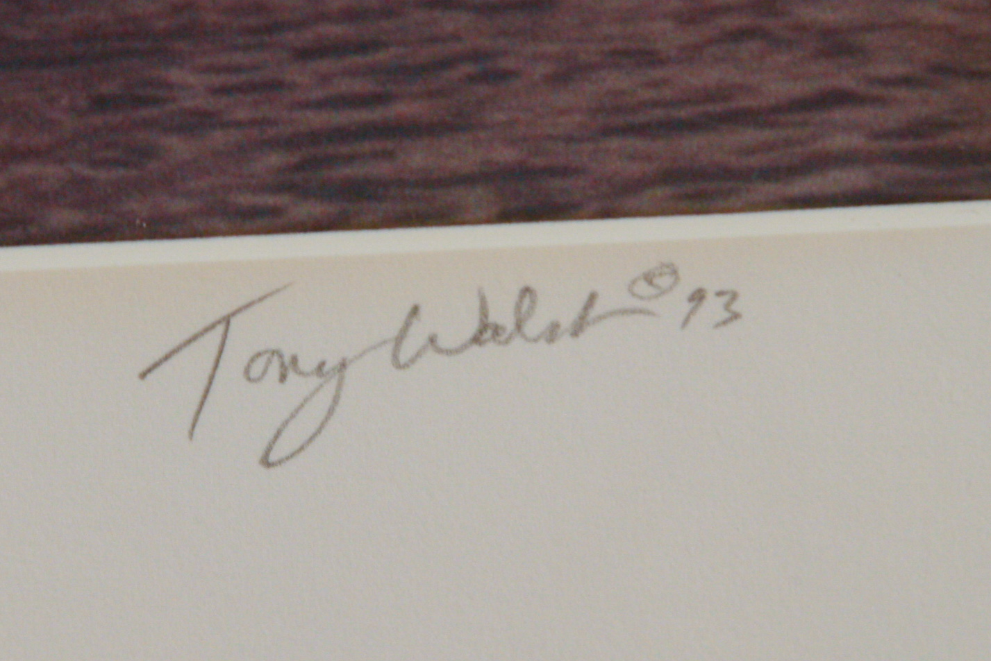 Pair of Large Tony Walsh Photographic Nature Prints