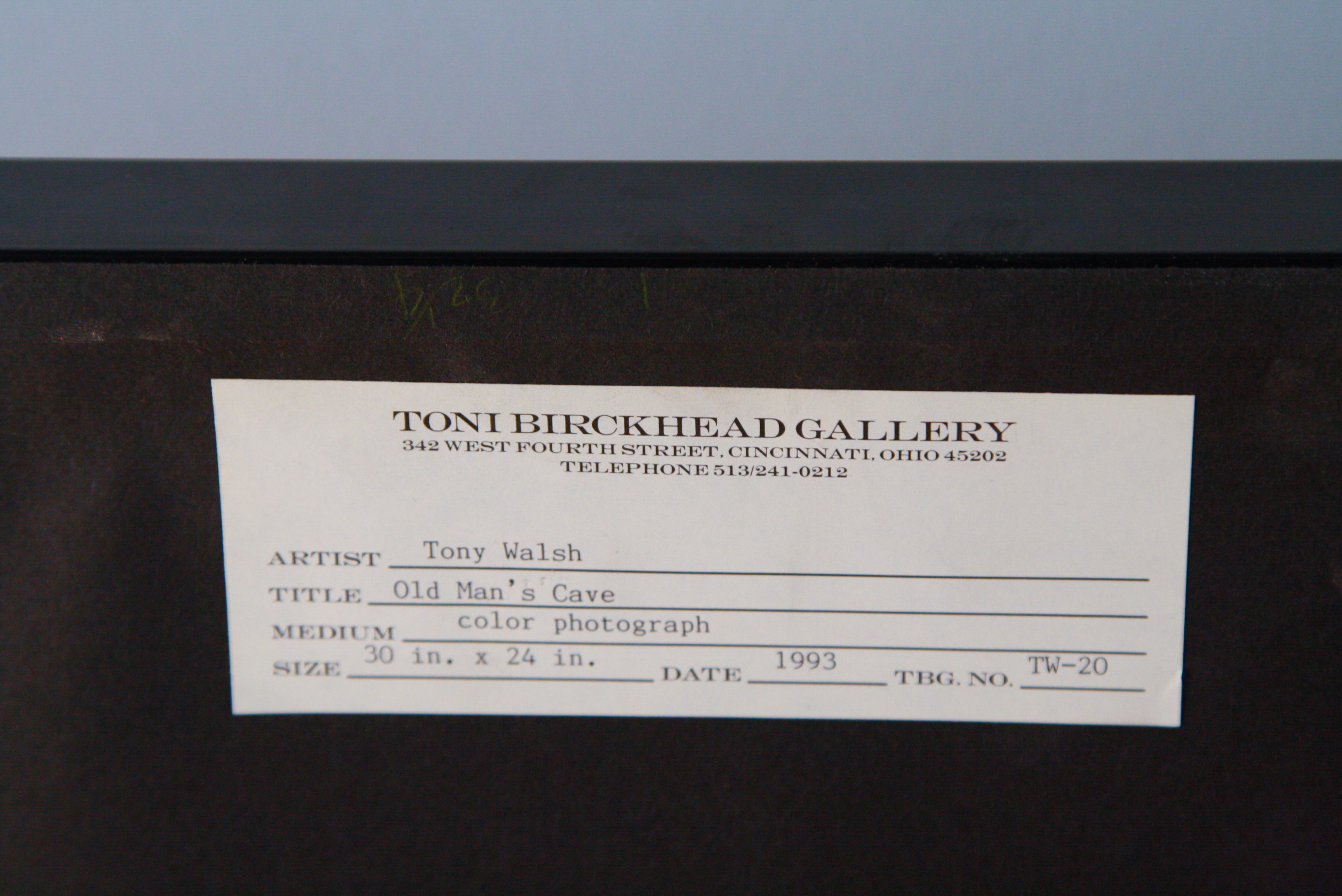 Pair of Large Tony Walsh Photographic Nature Prints