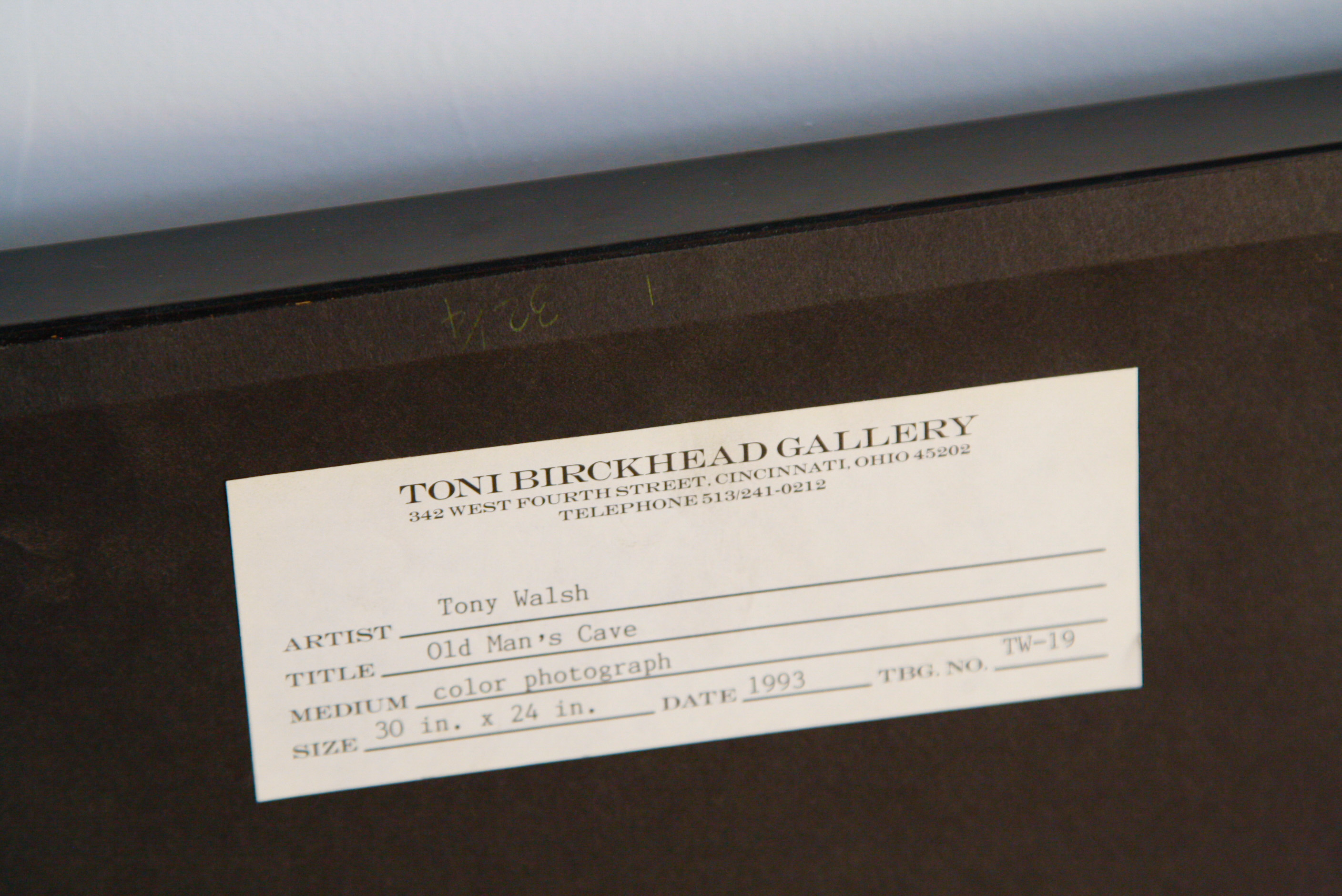 Pair of Large Tony Walsh Photographic Nature Prints