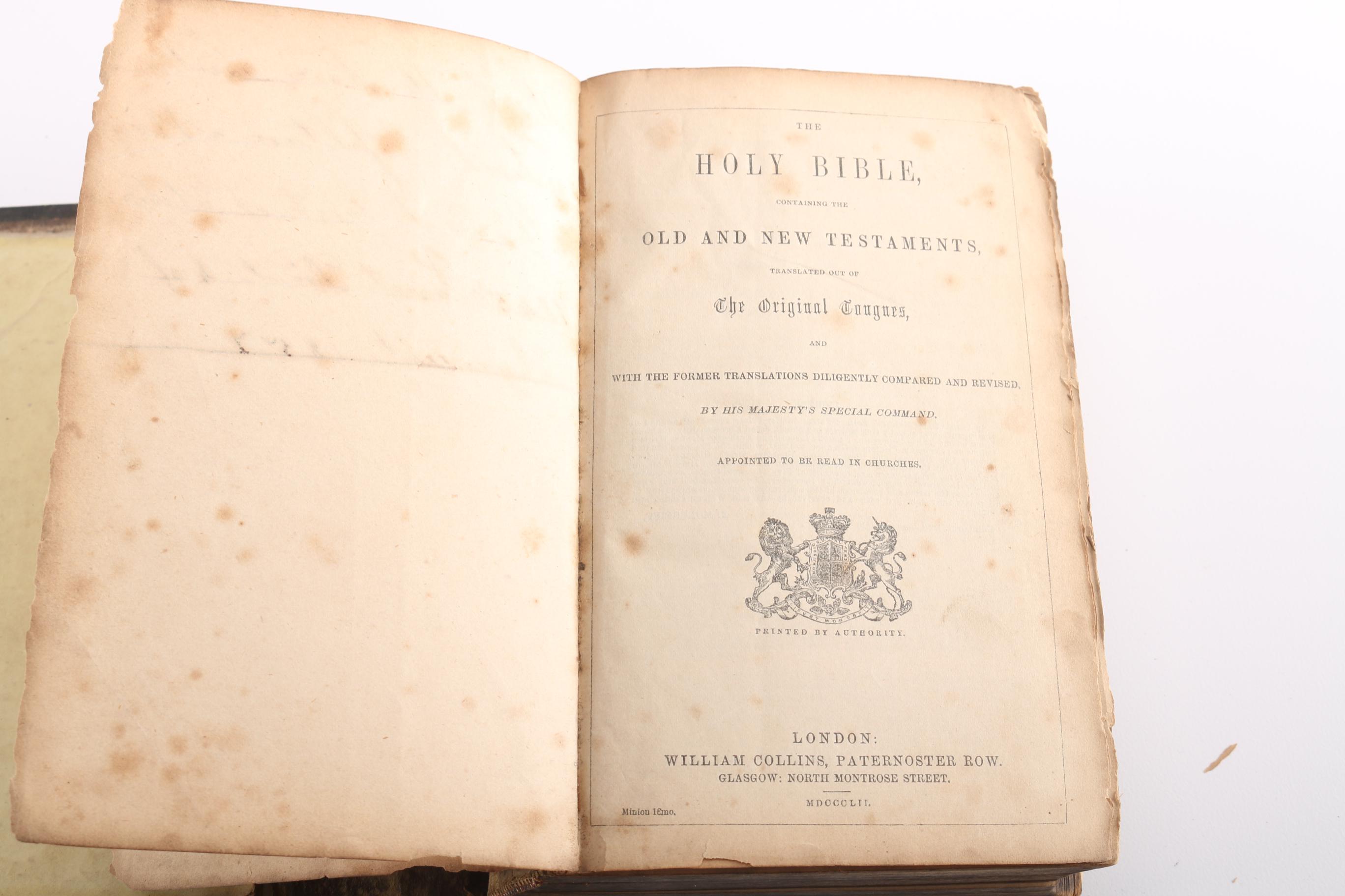 Collection of Bibles