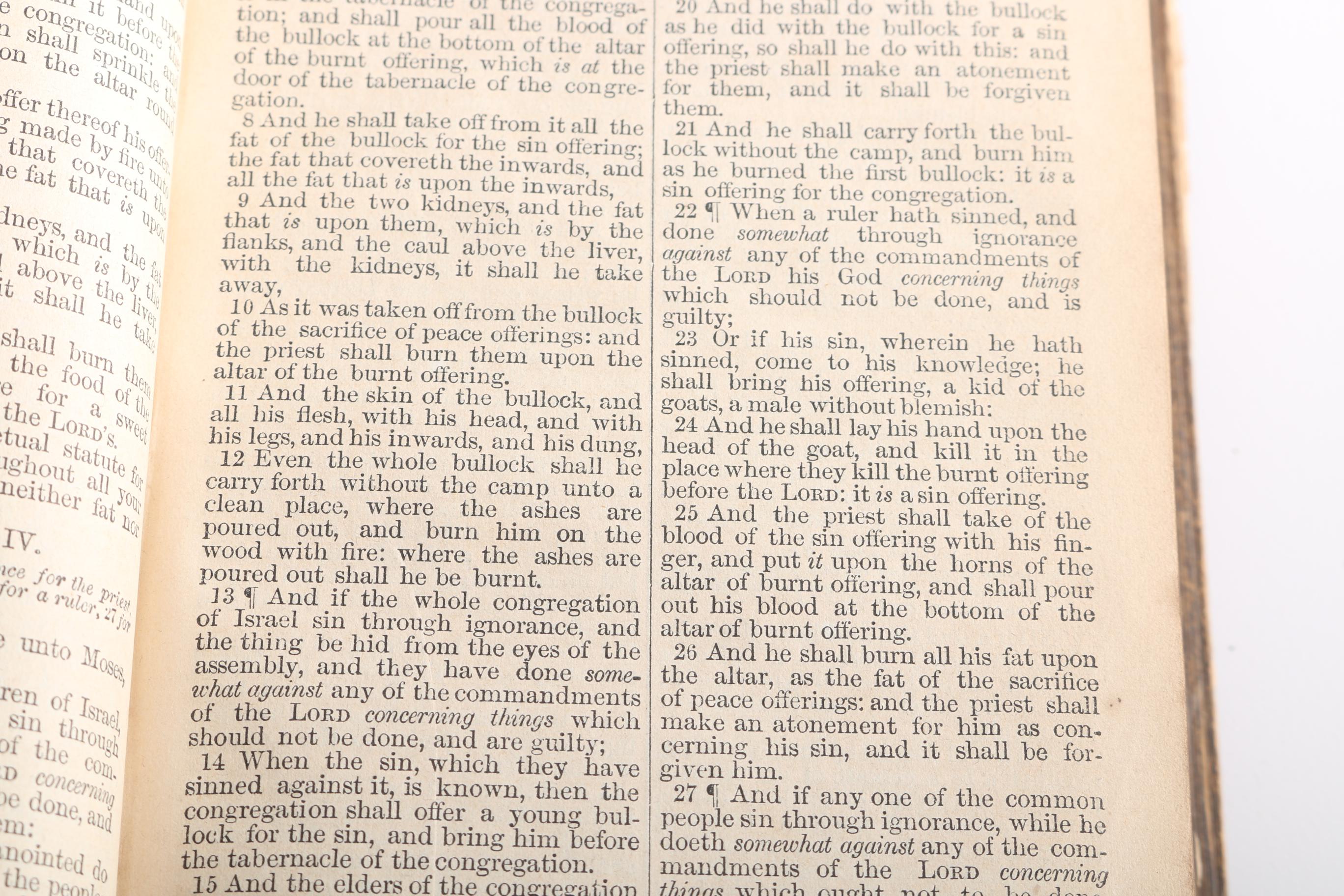 Collection of Bibles