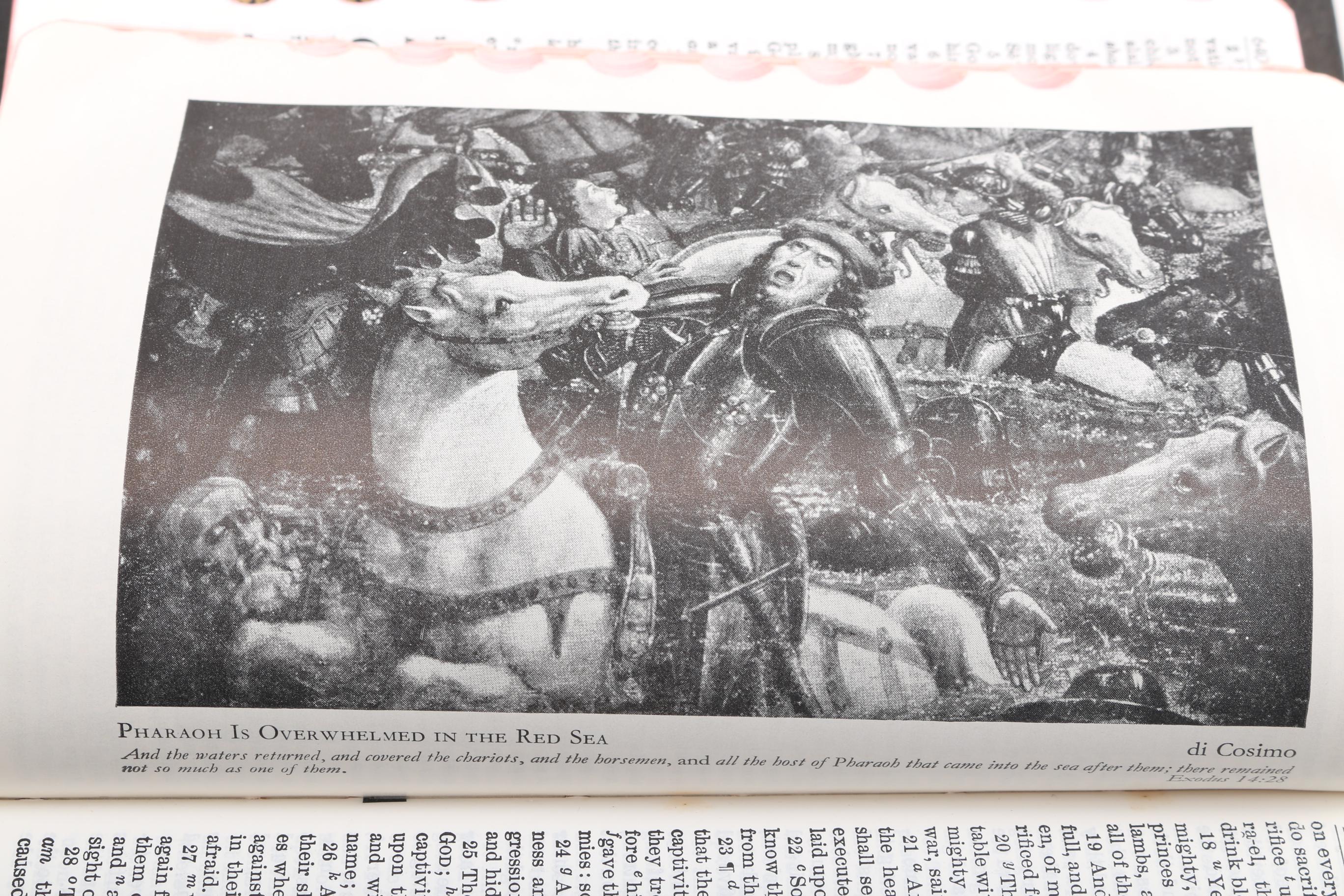 Collection of Bibles