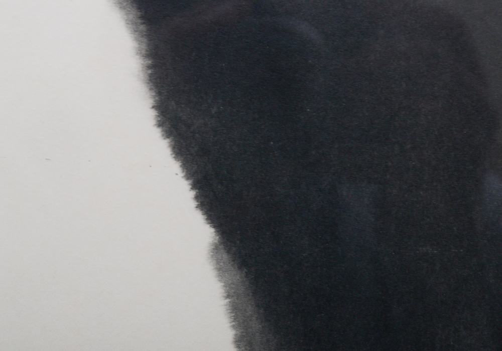 Da Wei Kwo Lithograph Titled "Tess" Depicting a Black Cat