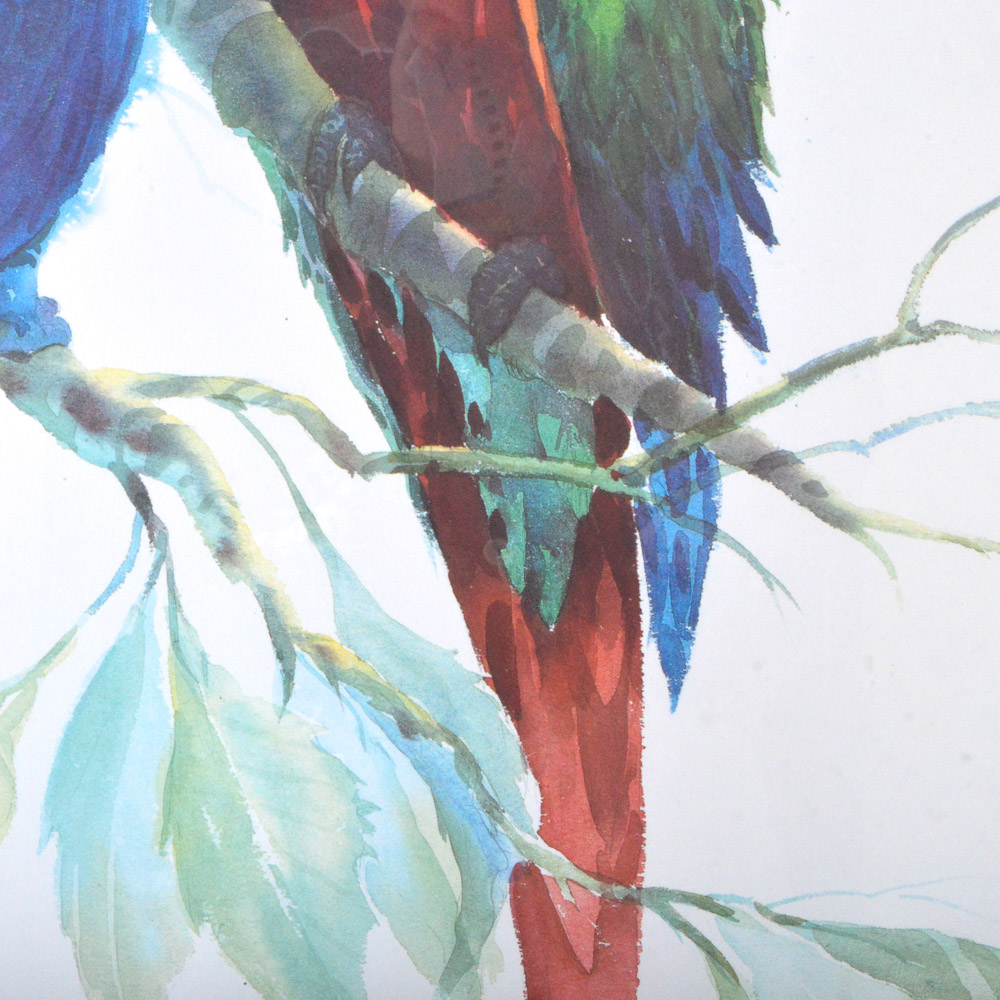 Richard E. Williams Limited Edition Offset Lithograph "Macaws"