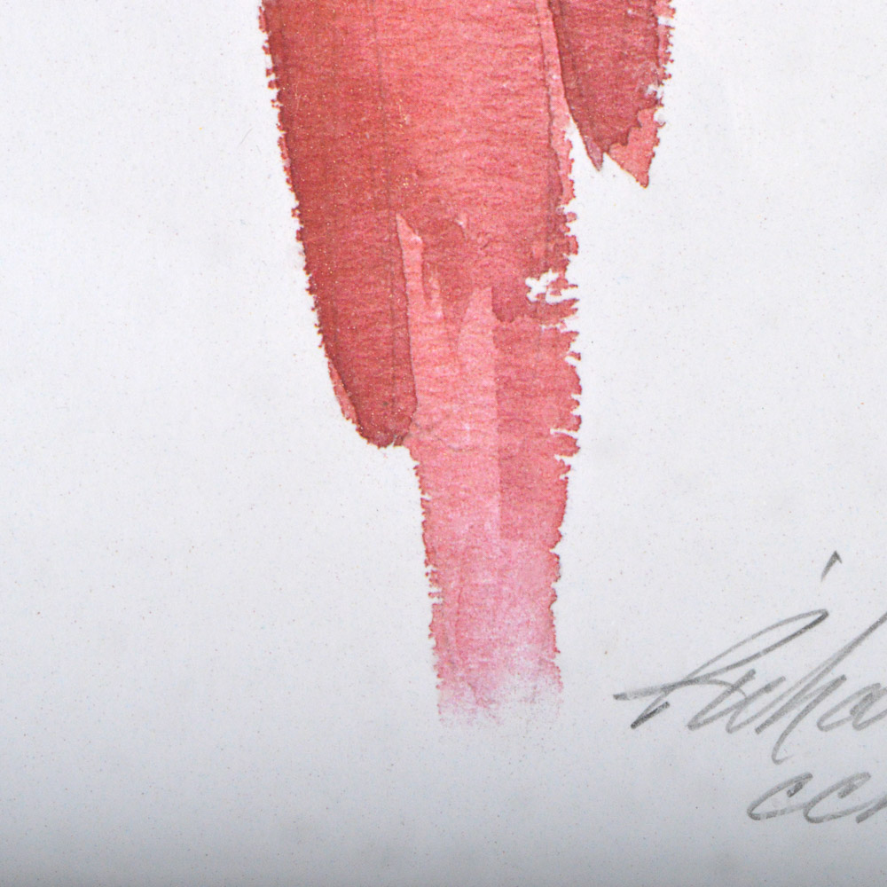 Richard E. Williams Limited Edition Offset Lithograph "Macaws"