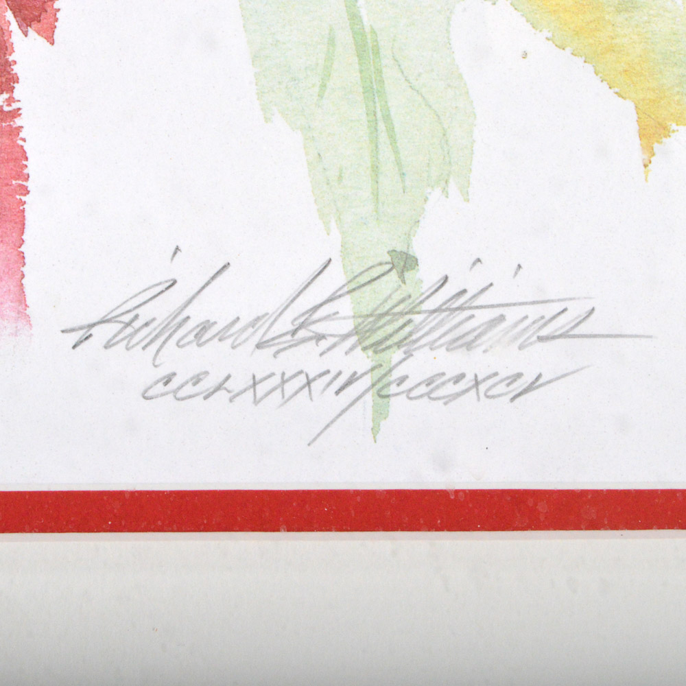 Richard E. Williams Limited Edition Offset Lithograph "Macaws"