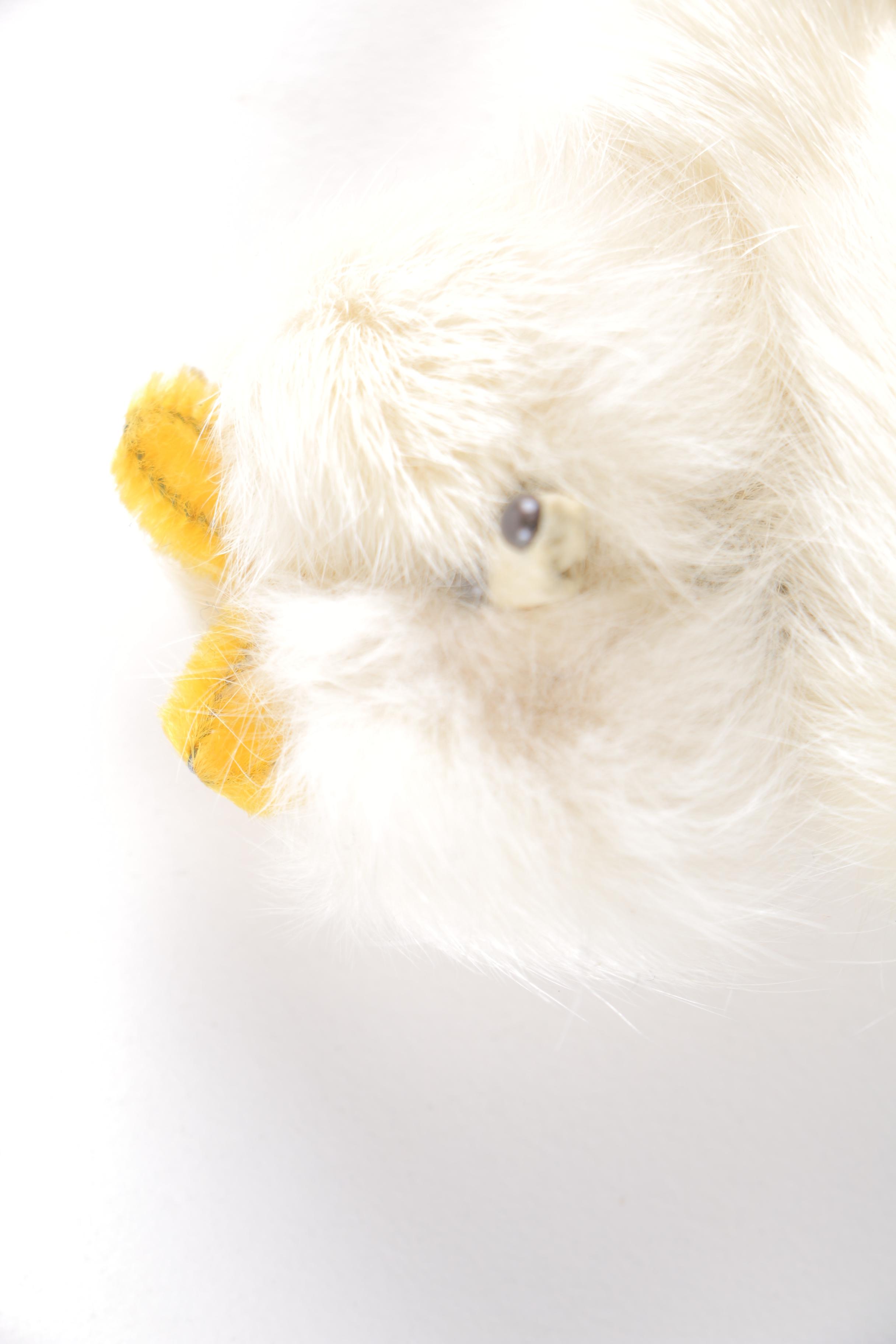 Costume Jewelry Pins and Accessories