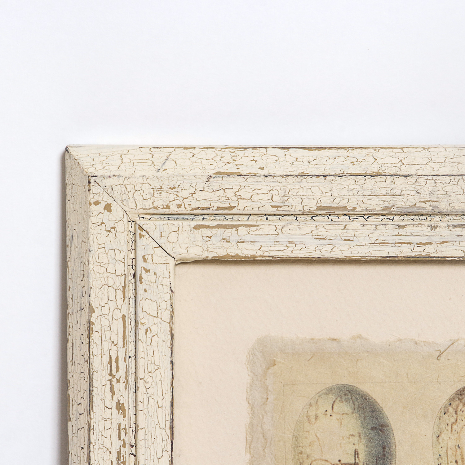 Set of Framed Vintage Lithograph Bird Egg Prints by J.W. Frohawk