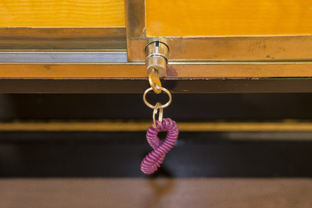 Black Lacquered and Brass Lighted Retail Display Cases