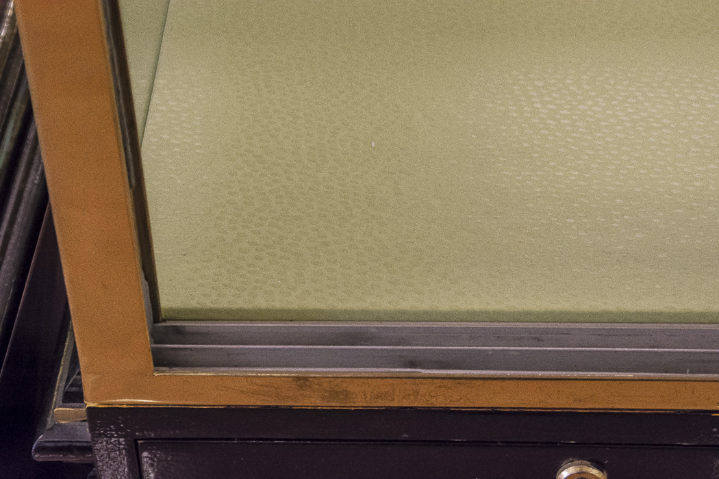 Black Lacquered and Brass Lighted Retail Display Cases