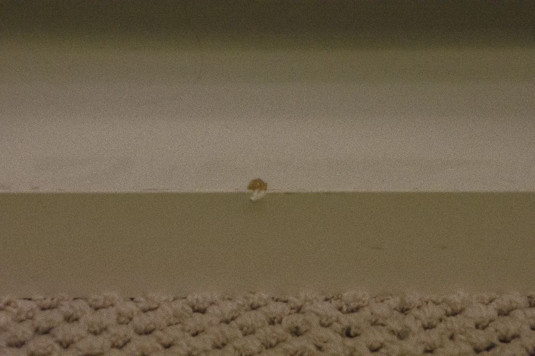 Large Cube Shelving Organizer