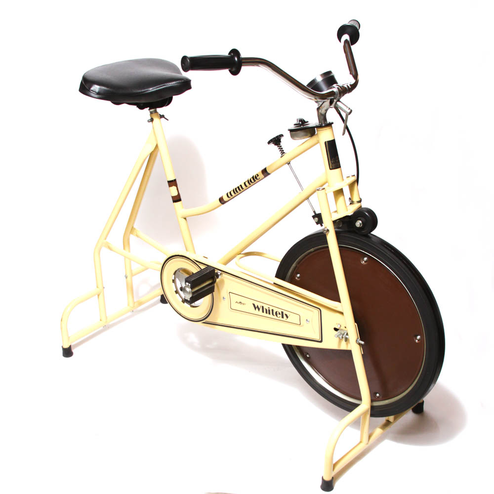 Trim Ride Stationary Bike