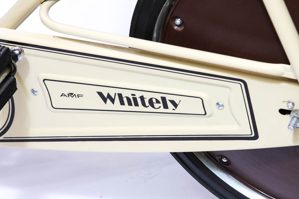 Trim Ride Stationary Bike