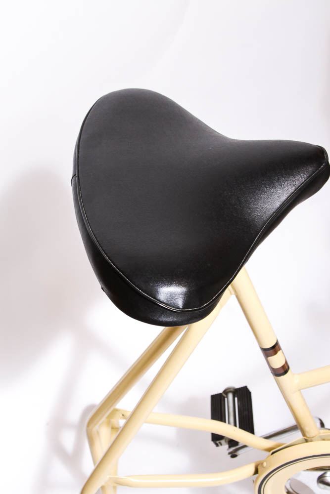 Trim Ride Stationary Bike