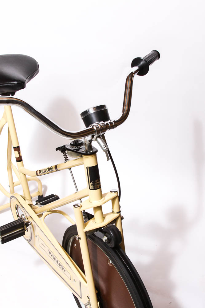 Trim Ride Stationary Bike