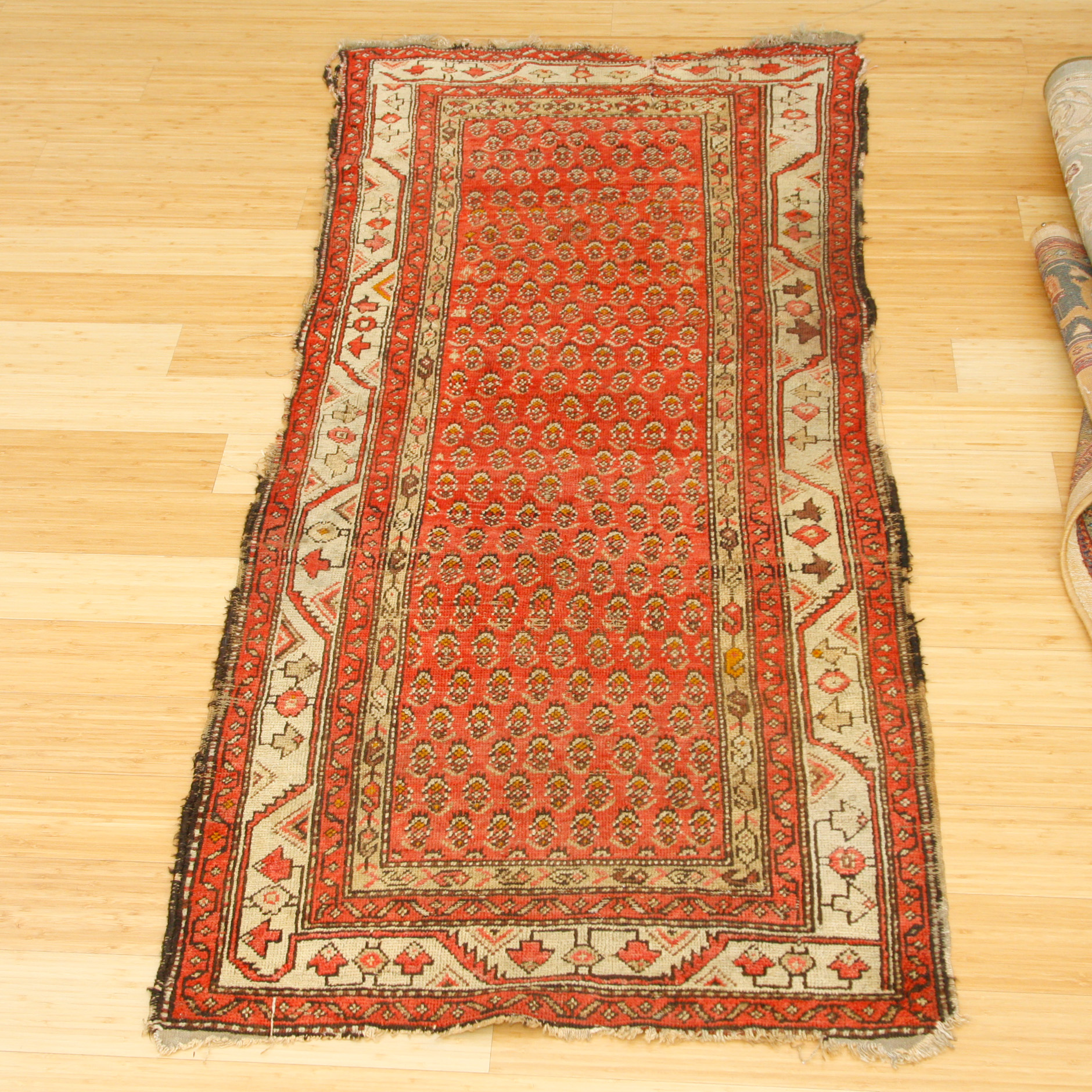 Hand-Knotted Lenkoran and Mir Serabend Area Rugs