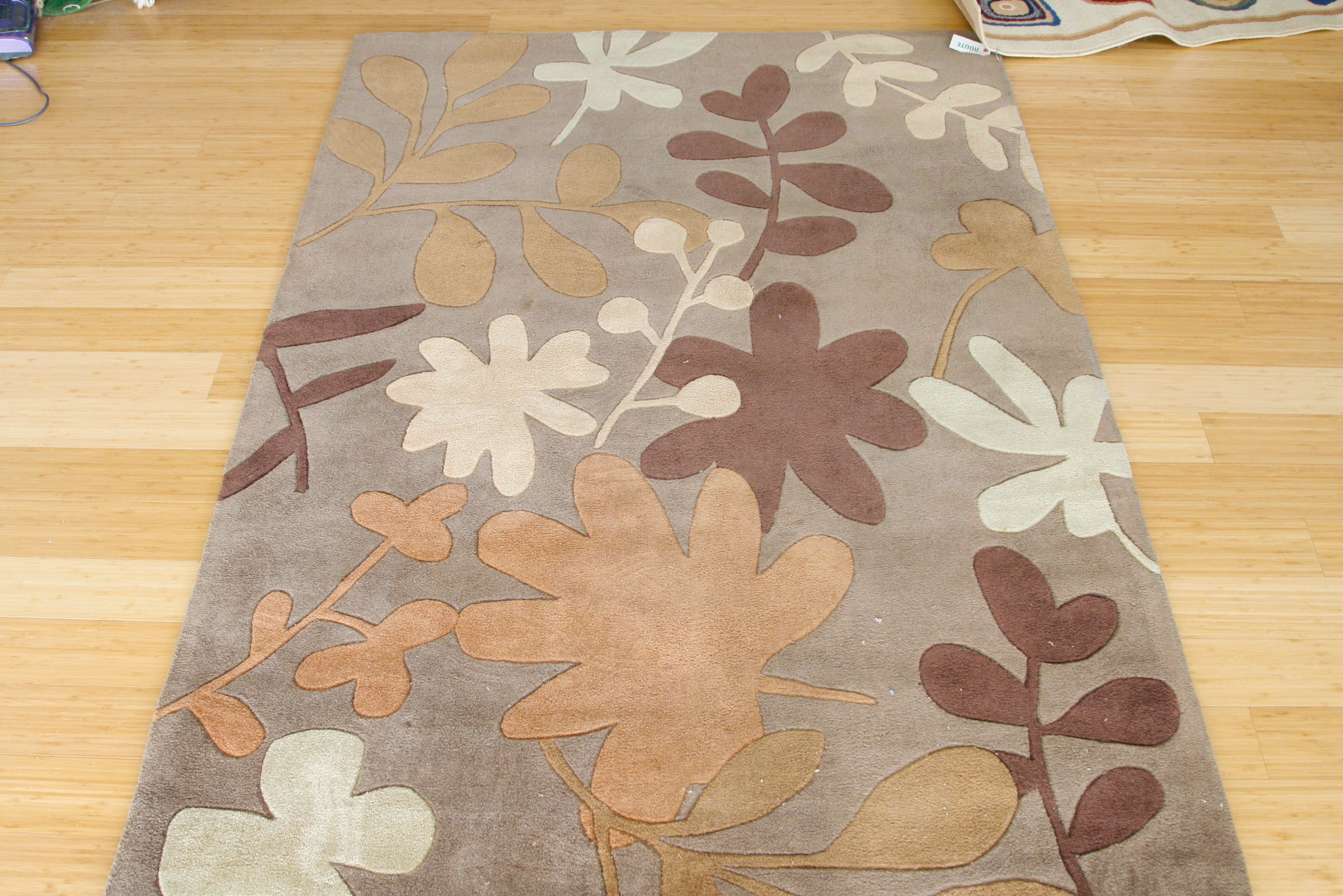 Pair of Contemporary Indoor/Outdoor Area Rugs