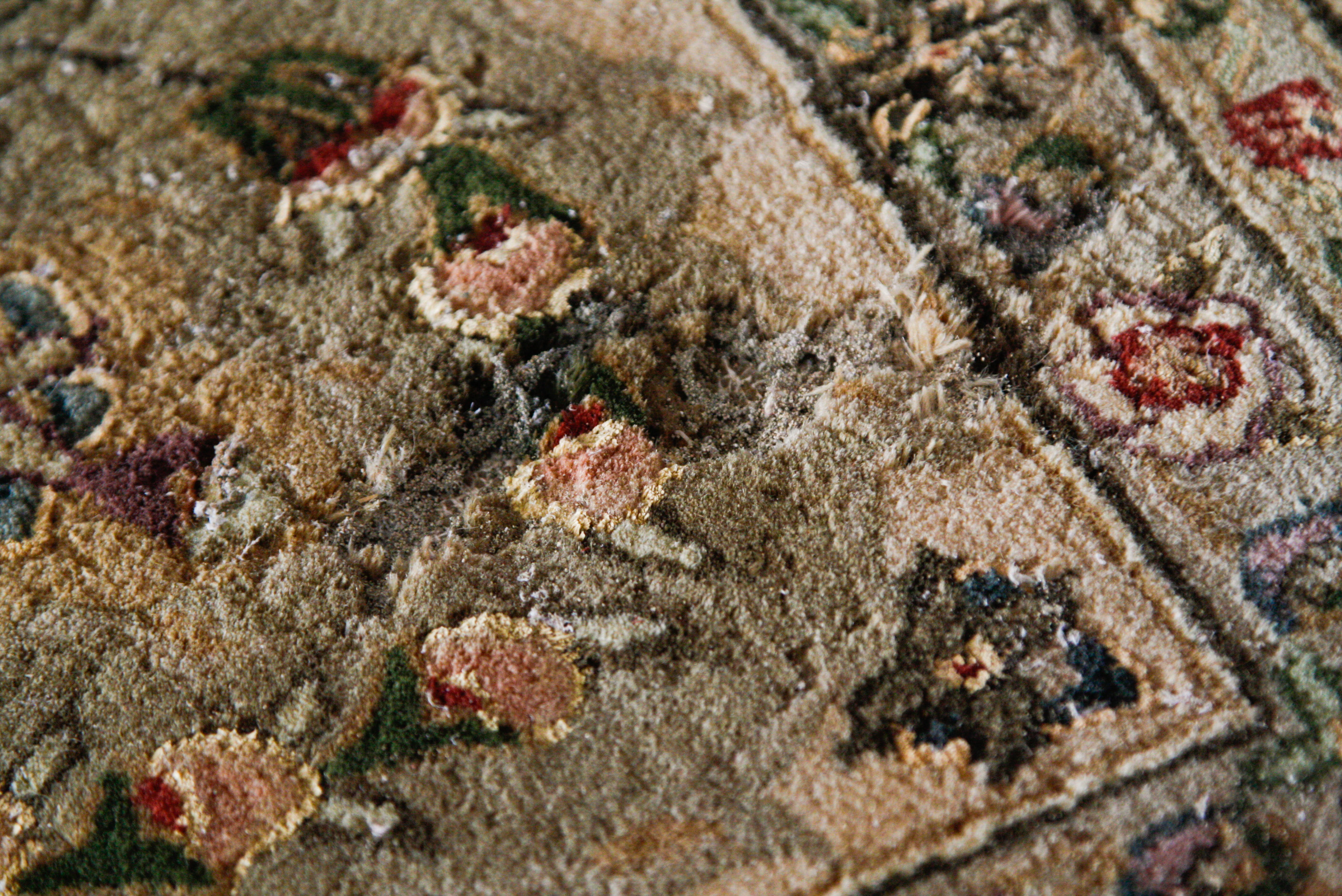 Large Tufted Persian-Style Area Rug