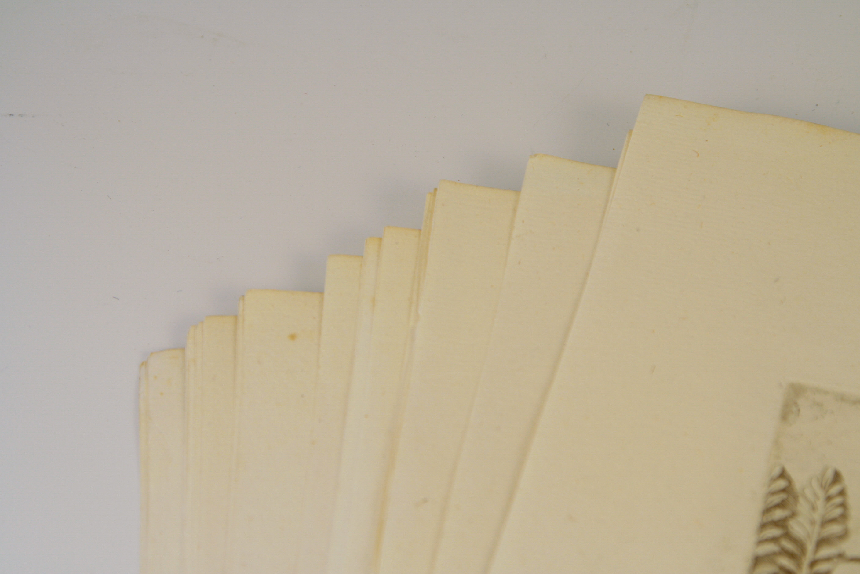 Large Assortment of Classical Engravings