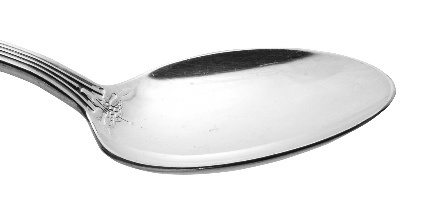 Reed & Barton "Tiger Lily" Silver Plated Flatware