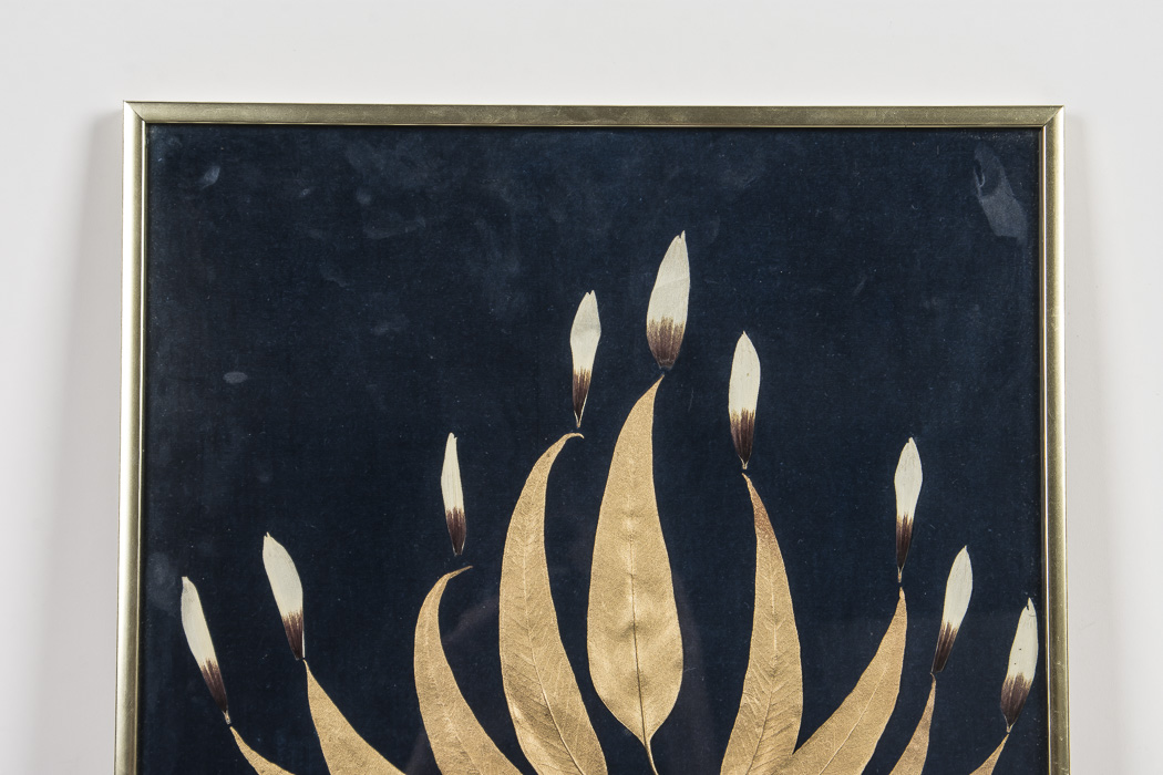 Otilia Originals Gold Tone Dried and Pressed Flowers In Frame