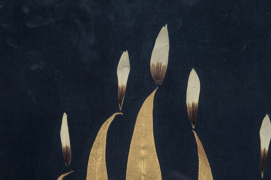 Otilia Originals Gold Tone Dried and Pressed Flowers In Frame