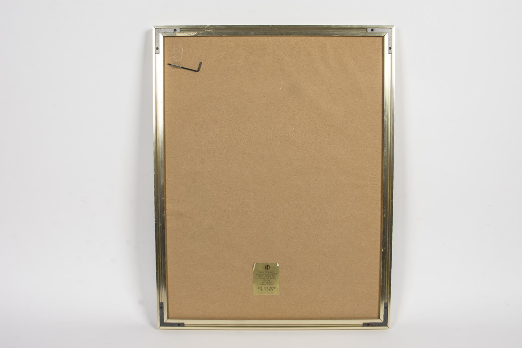 Otilia Originals Gold Tone Dried and Pressed Flowers In Frame