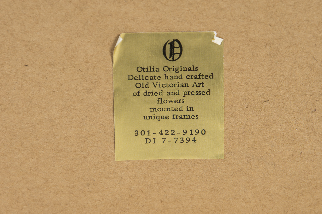 Otilia Originals Gold Tone Dried and Pressed Flowers In Frame