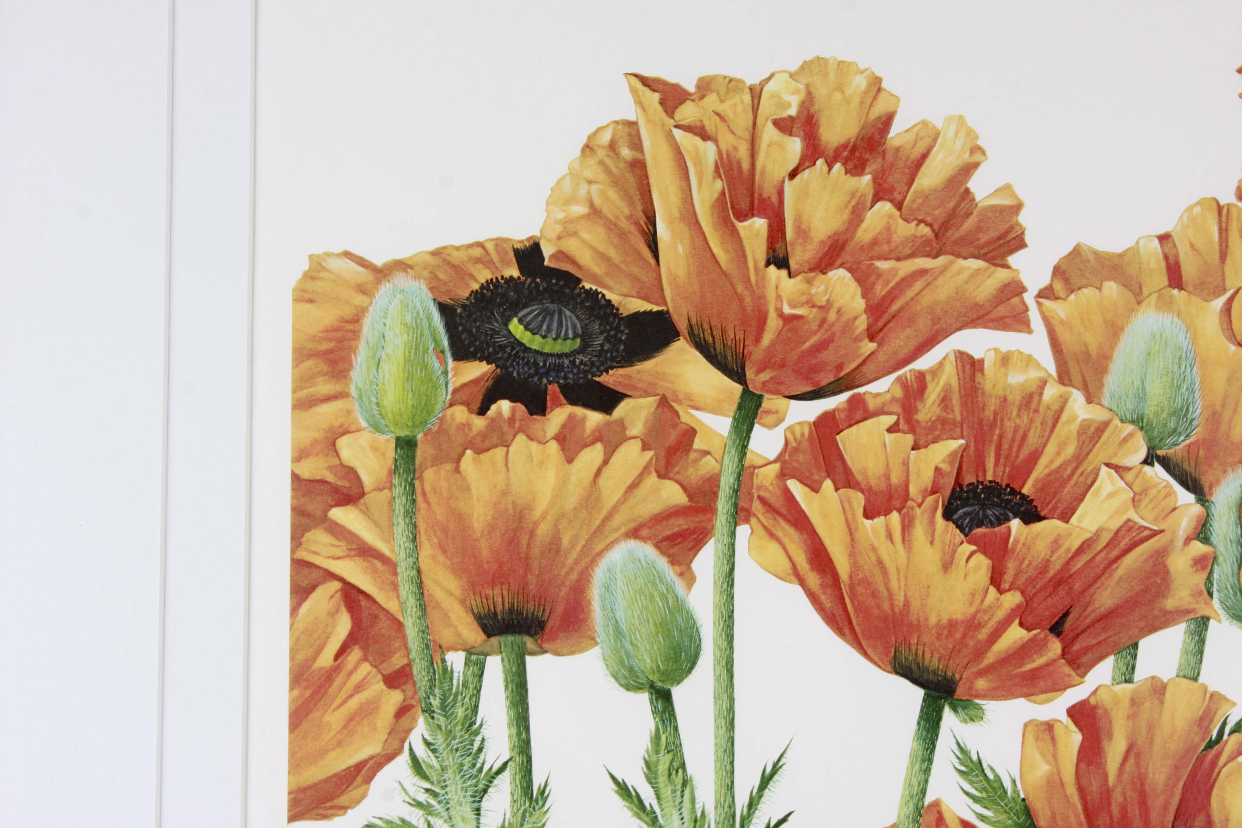 M. Saito Limited Edition Offset Lithograph