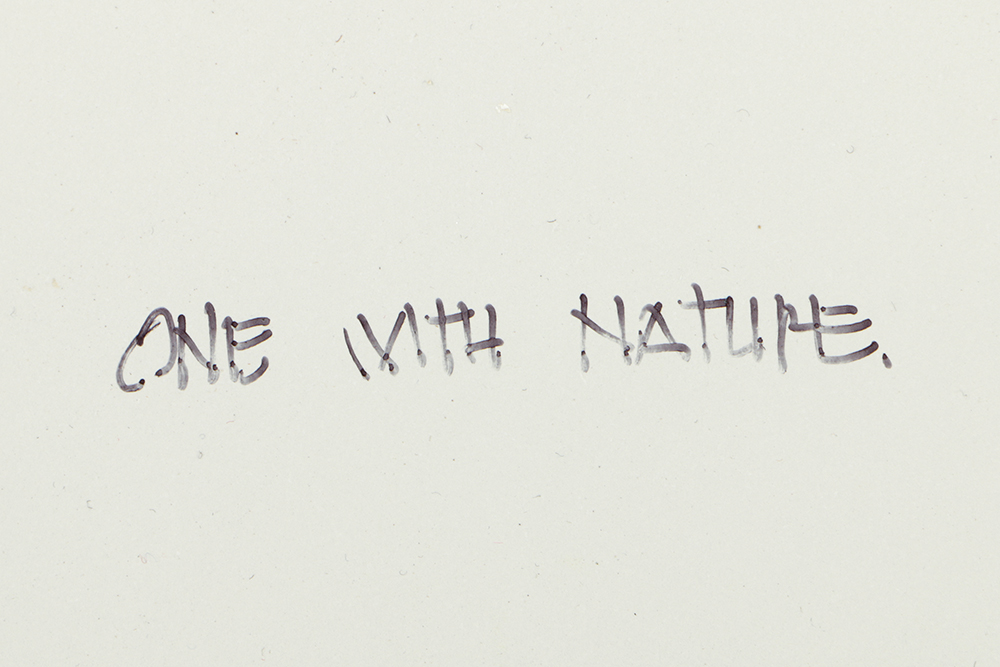 Rick Koehler Oil Painting on Canvas Board "One with Nature"