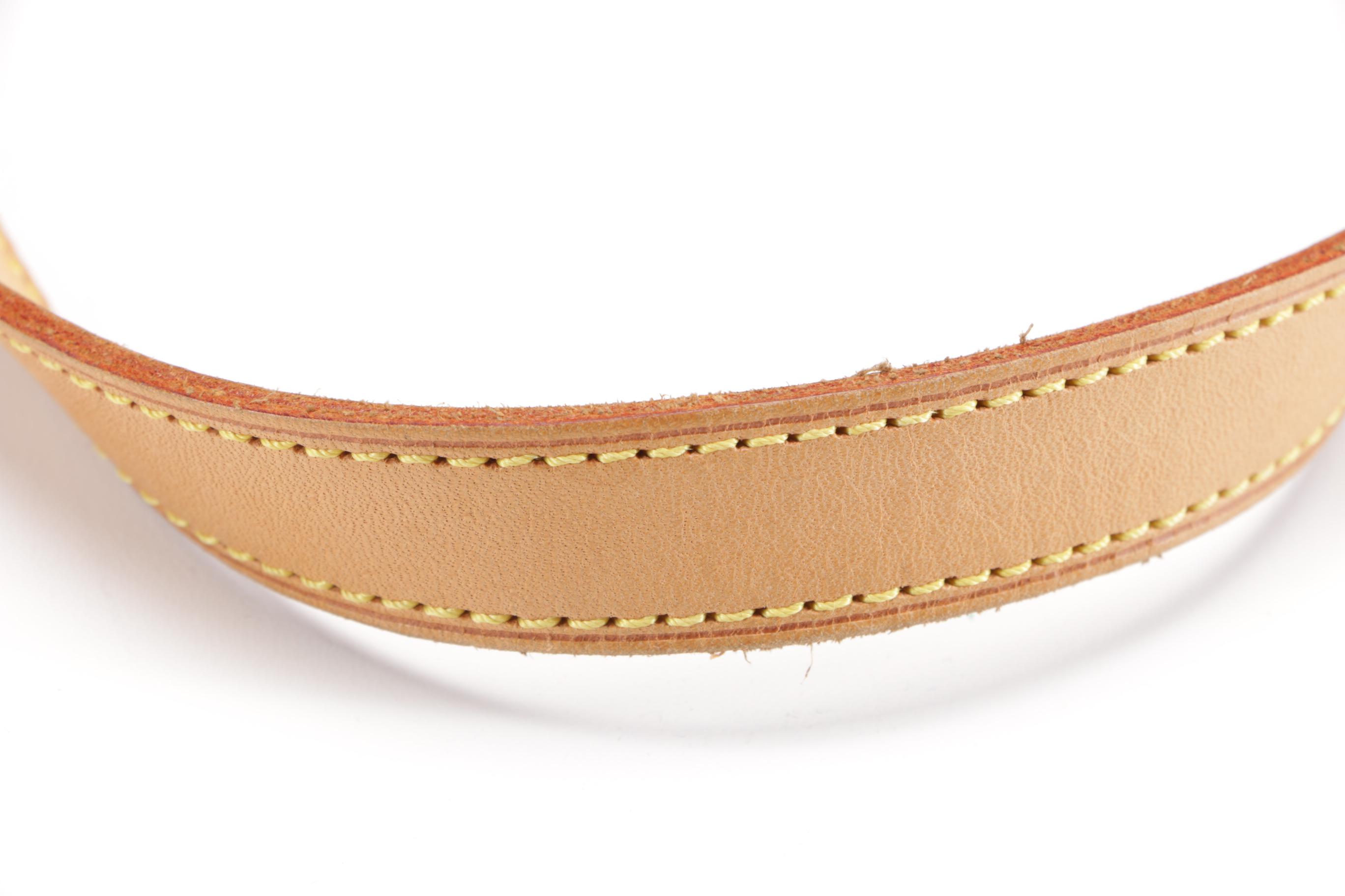 Louis Vuitton Monogram Satchel