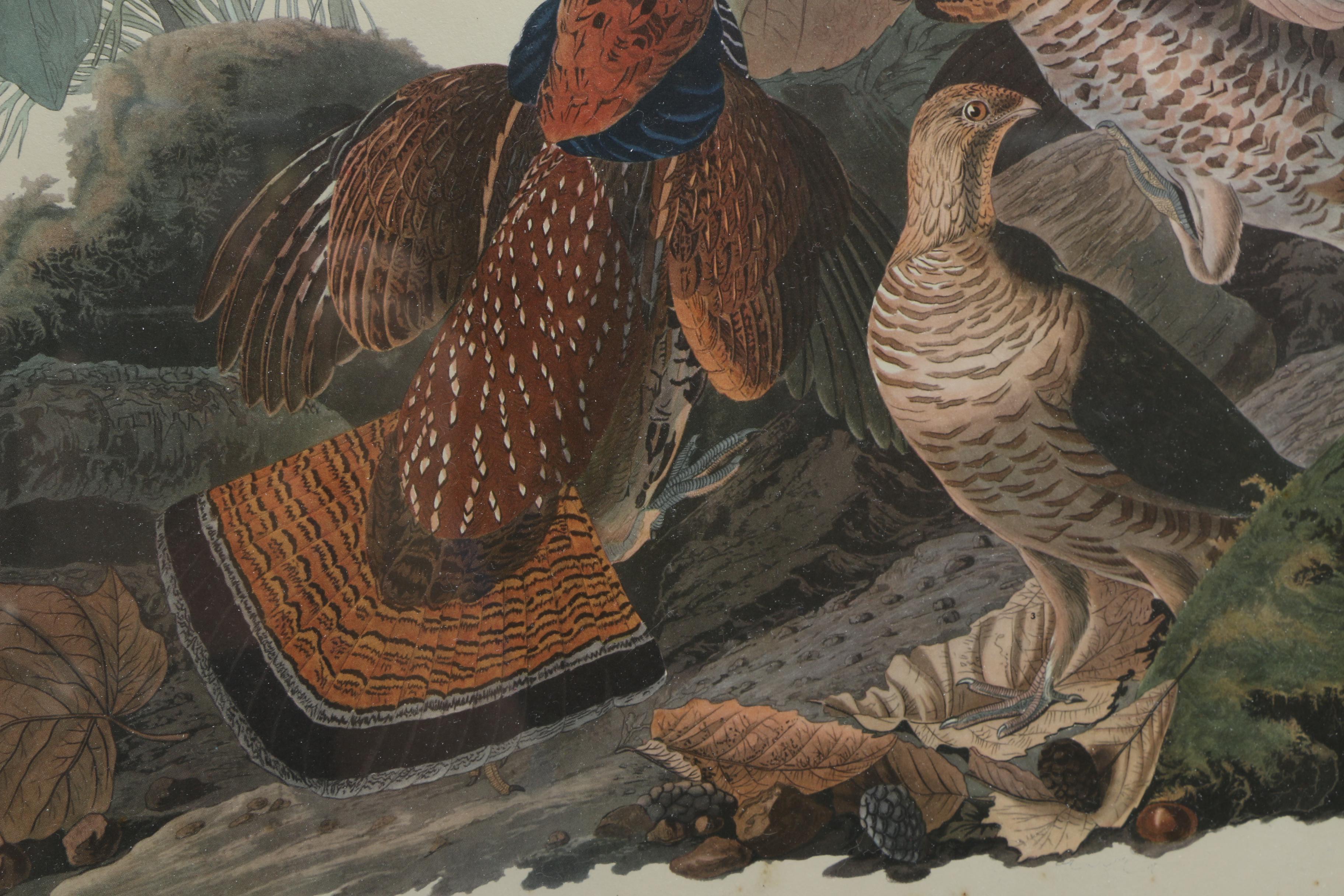 After John J. Audubon and R. Havell Offset Lithographs "Ruffed Grouse" and "Mallard Duck"