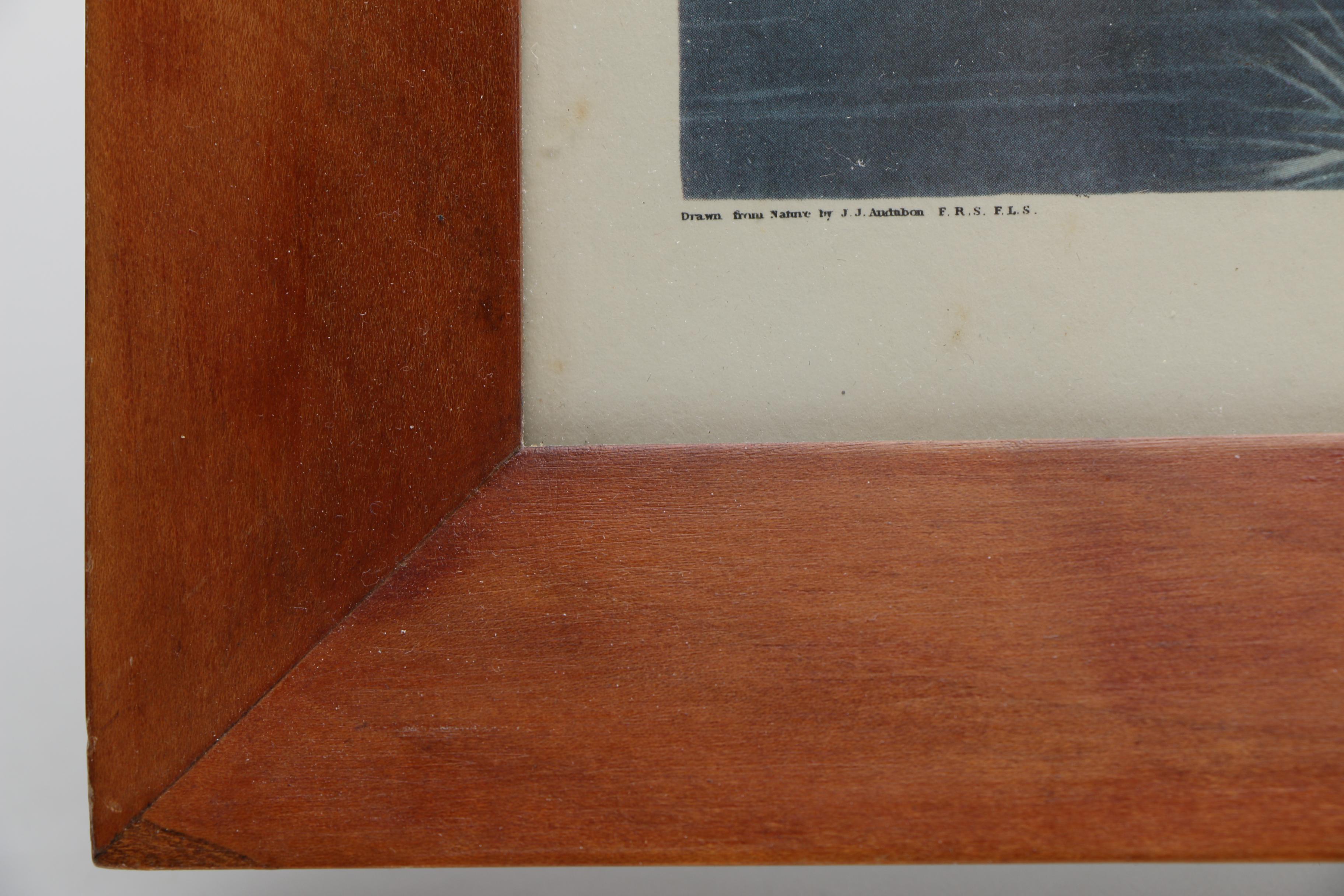 After John J. Audubon and R. Havell Offset Lithographs "Ruffed Grouse" and "Mallard Duck"