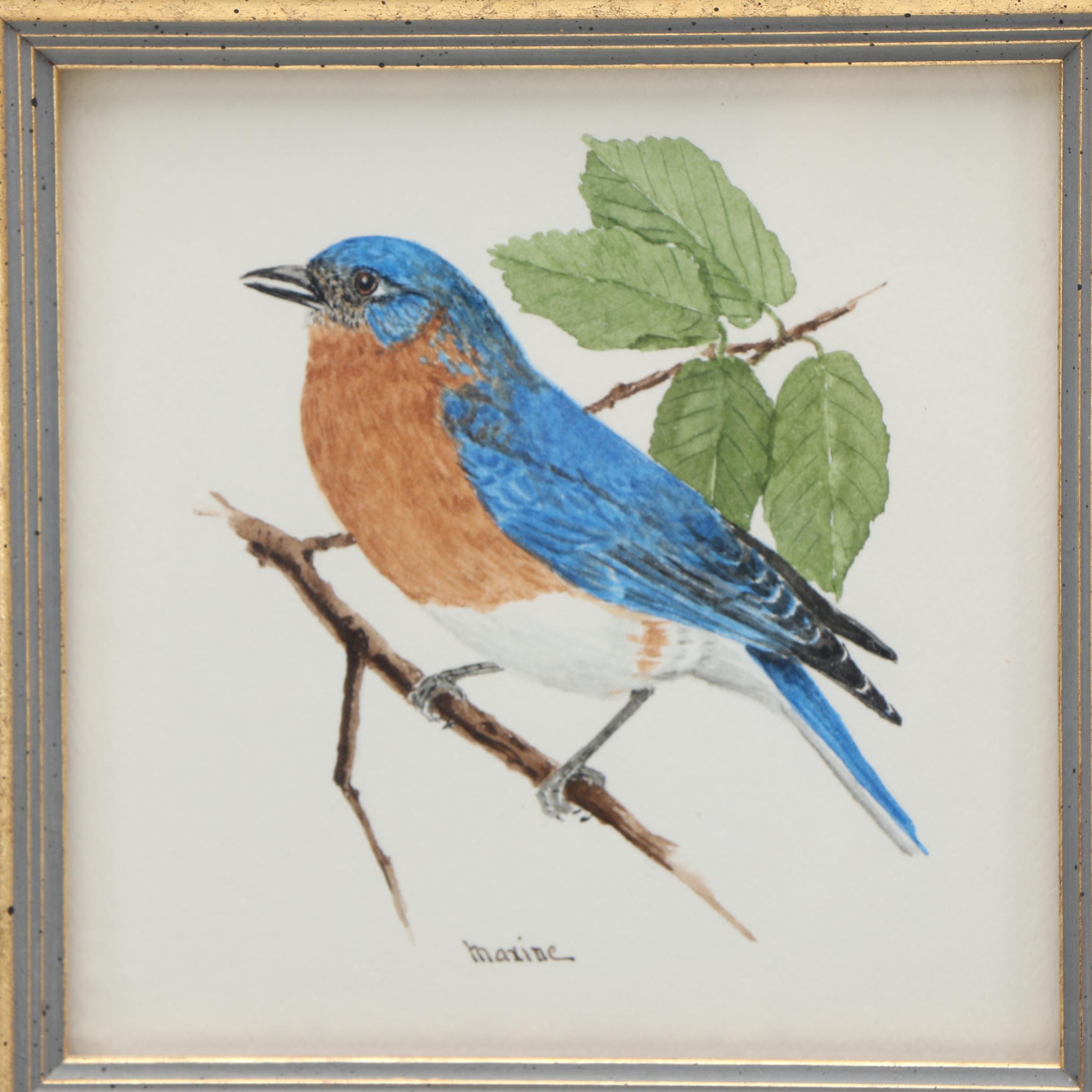 Maxine Watercolor Paintings on Paper of Birds