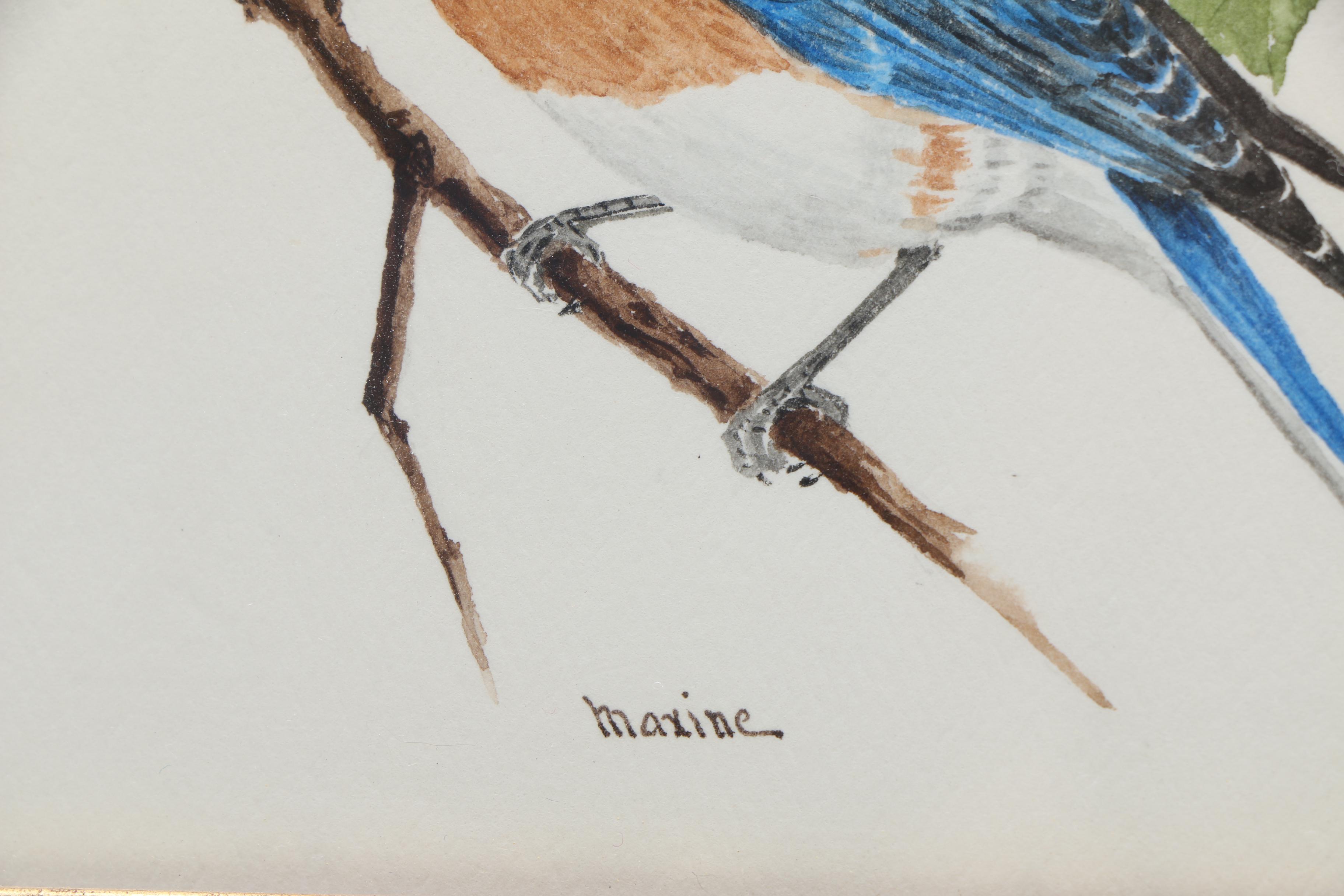 Maxine Watercolor Paintings on Paper of Birds